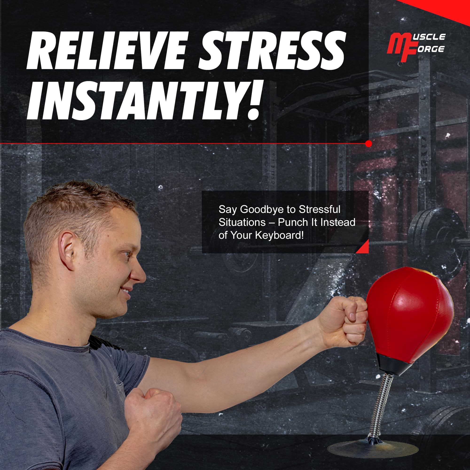 MuscleForge Ballon de Boxe de Bureau pour Les activités à la Maison et au Bureau, Balle de Boxe Anti-Stress de Bureau avec Ventouse, Desktop Punching Ball for Stress Relief