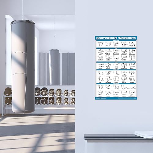 Miniatura 2 de Paquete de 4 pósteres de entrenamiento de máquina de cable volumen 1 y 2 + tabla de ejercicios de peso corporal Volumen 1 y 2 (laminado, 18 x 24