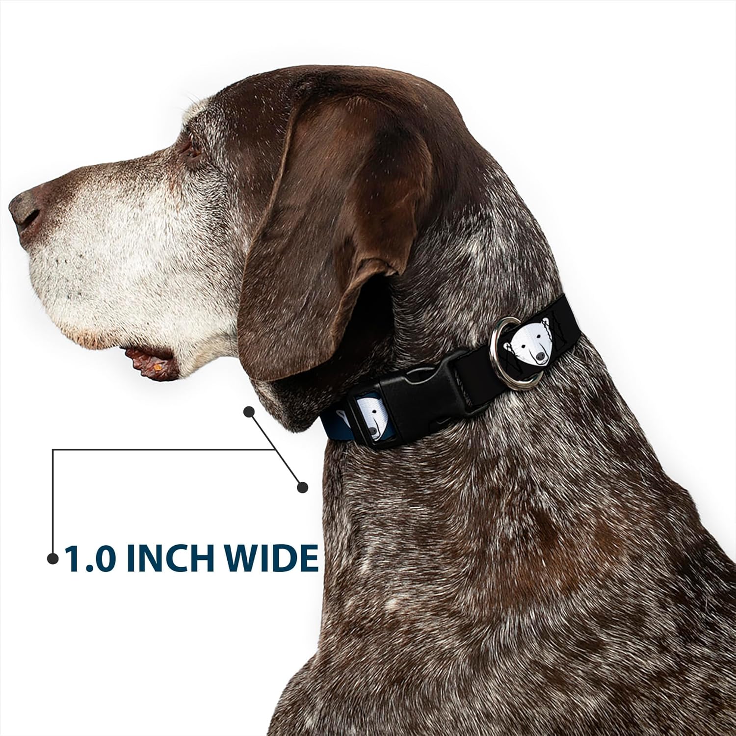 Buckle-Down 13-18" Polar Bear Repeat Black/Blue Fade Plastic Clip Collar, Wide Small
