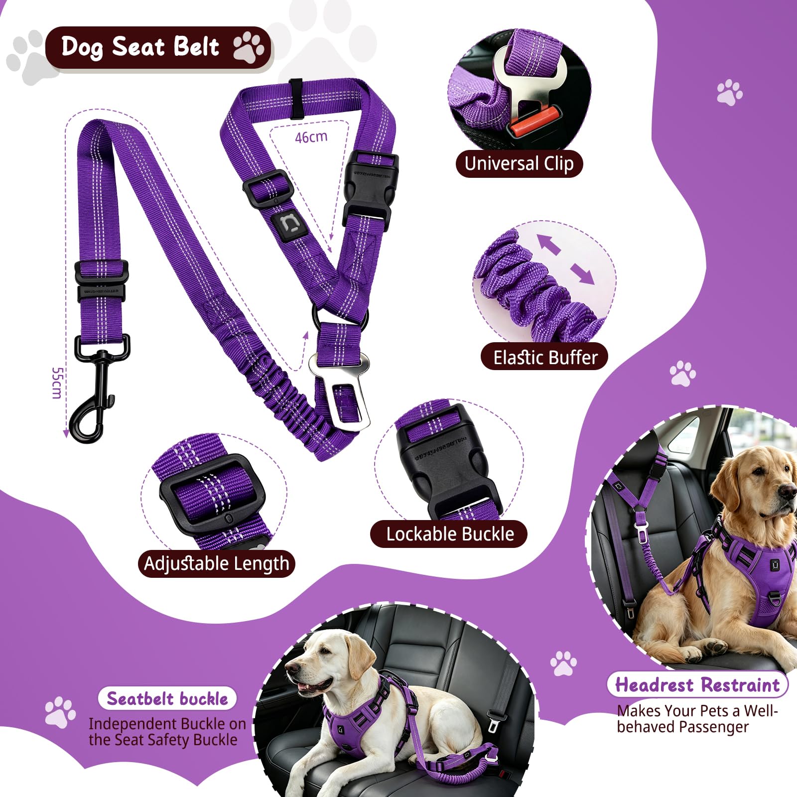 Arnes Perro, Conjunto de arnés y Correa para Perros cinturón de Seguridad, comederos Plegables y dispensador de Bolsas para excrementos. Ideal para Entrenamiento, Paseos y Viajes