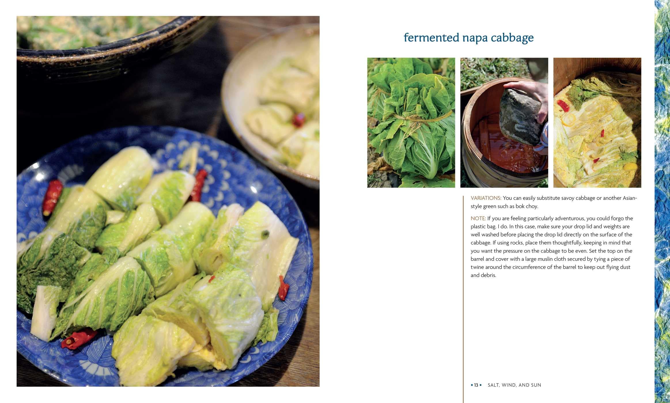 Preserving the Japanese Way: Traditions of Salting, Fermenting, and Pickling for the Modern Kitchen