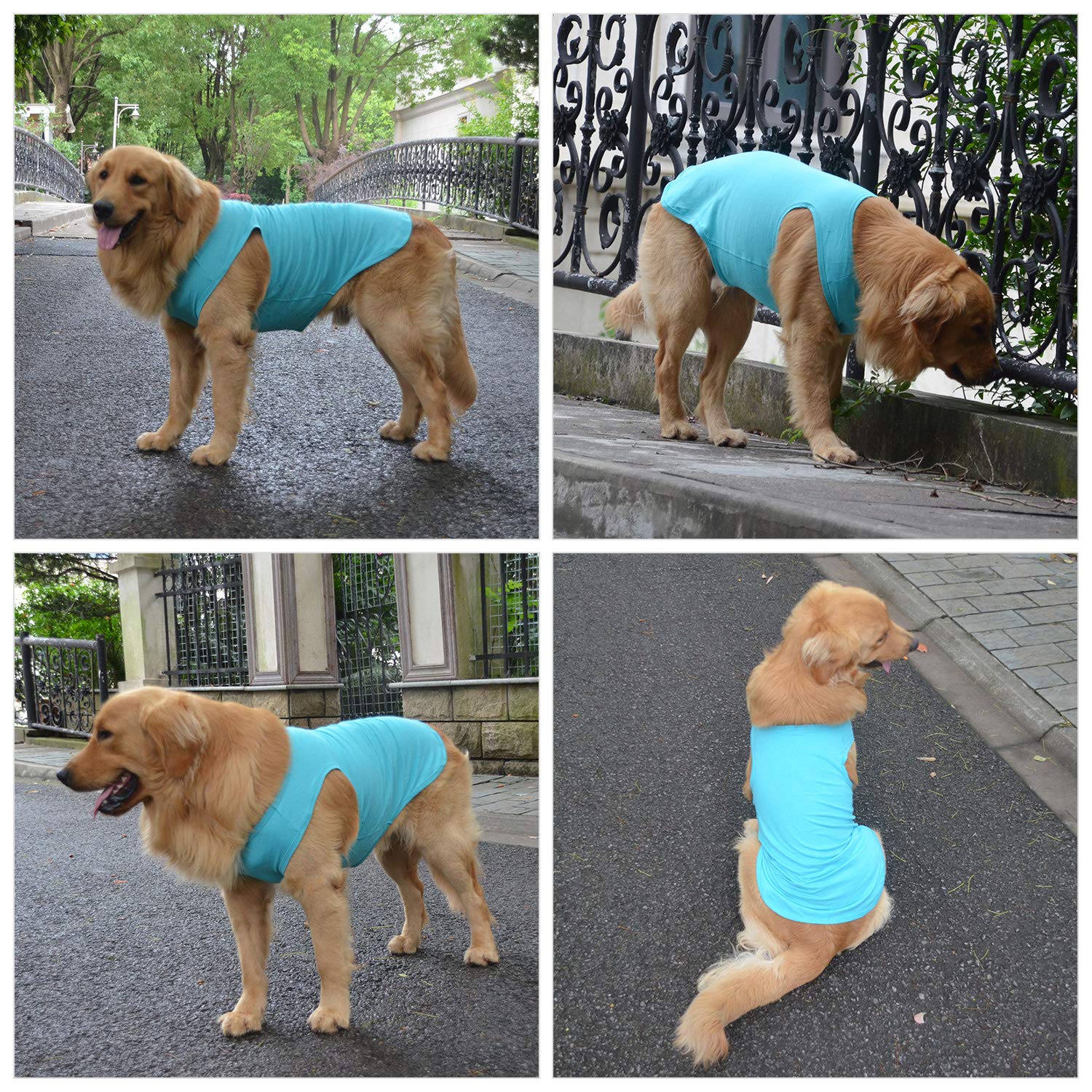 Amazon.co.jp: 2018 ペット 服 犬 服 ブランク Tシャツ タンクトップ