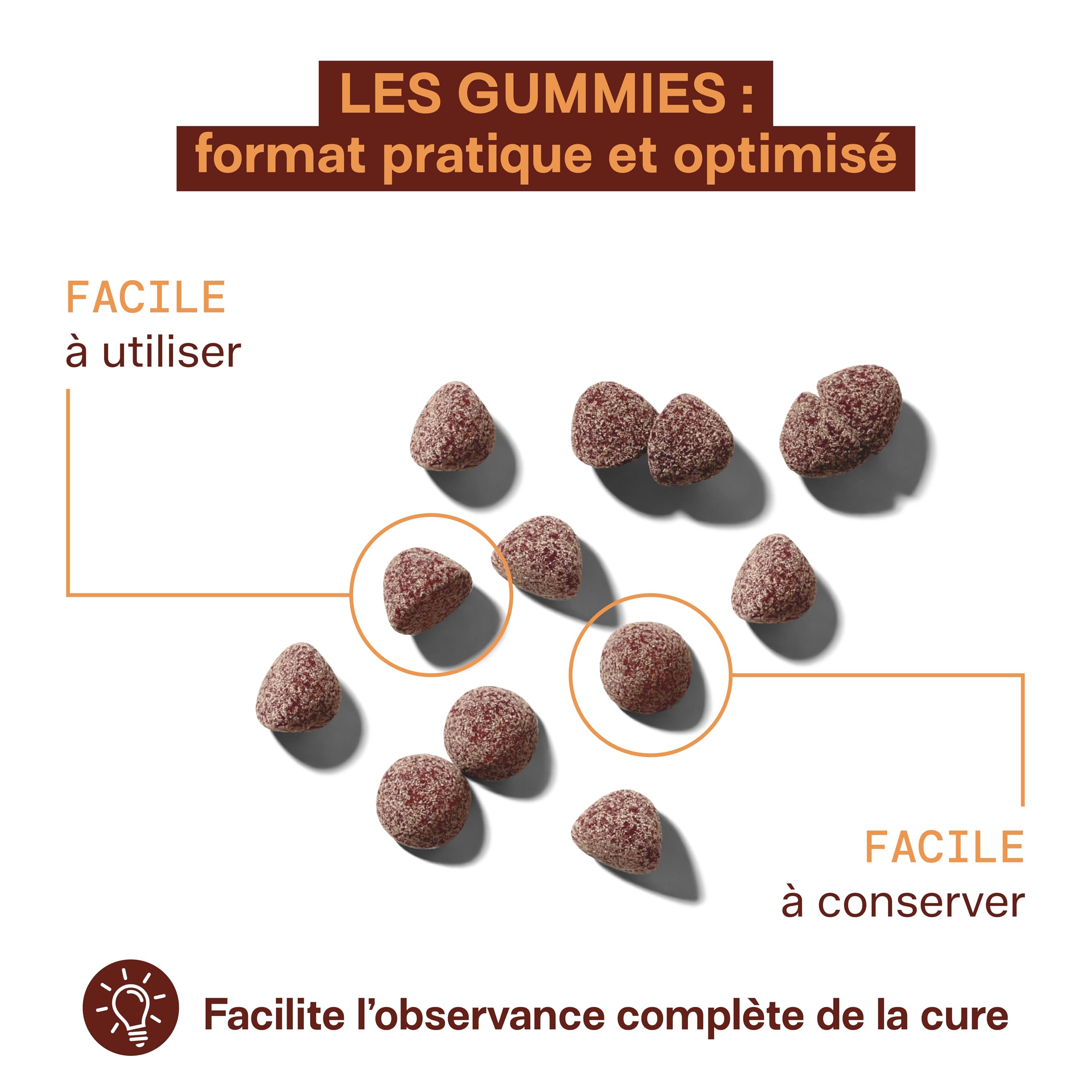 Mium Lab – Lions Mane (Crinière de Lion) – Gummies sans sucre – Extrait 18:1 hautement concentré d’Hericium erinaceus – Complément alimentaire à base de champignon adaptogène – Fabriqué en France