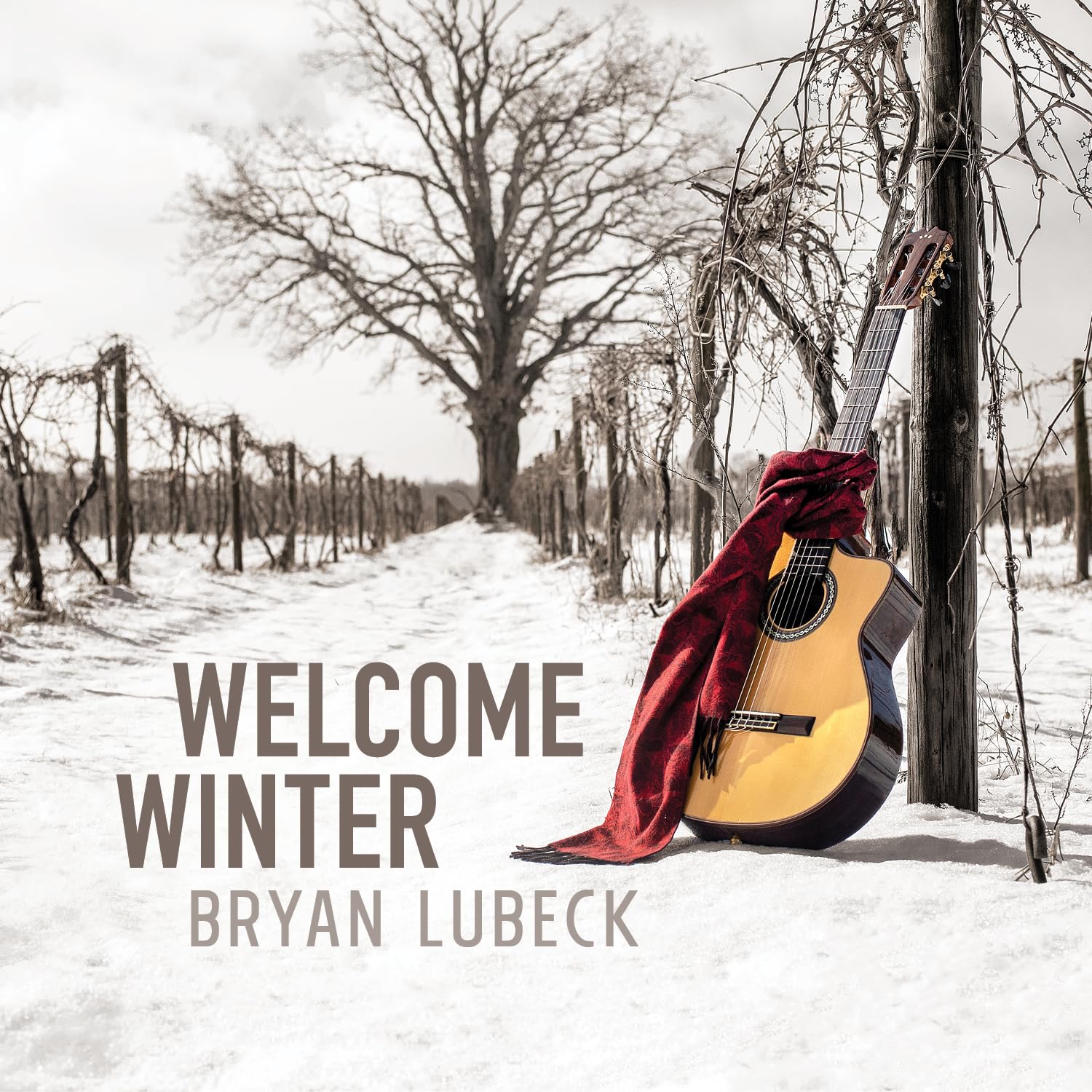 welcome winter