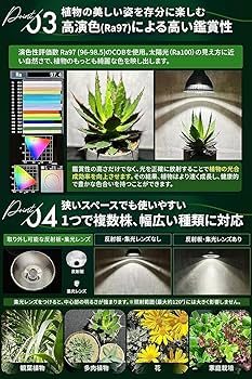 Amazon.co.jp: 【グリーンアドバイザー推薦】BRIM(ブリム) COSMO 植物