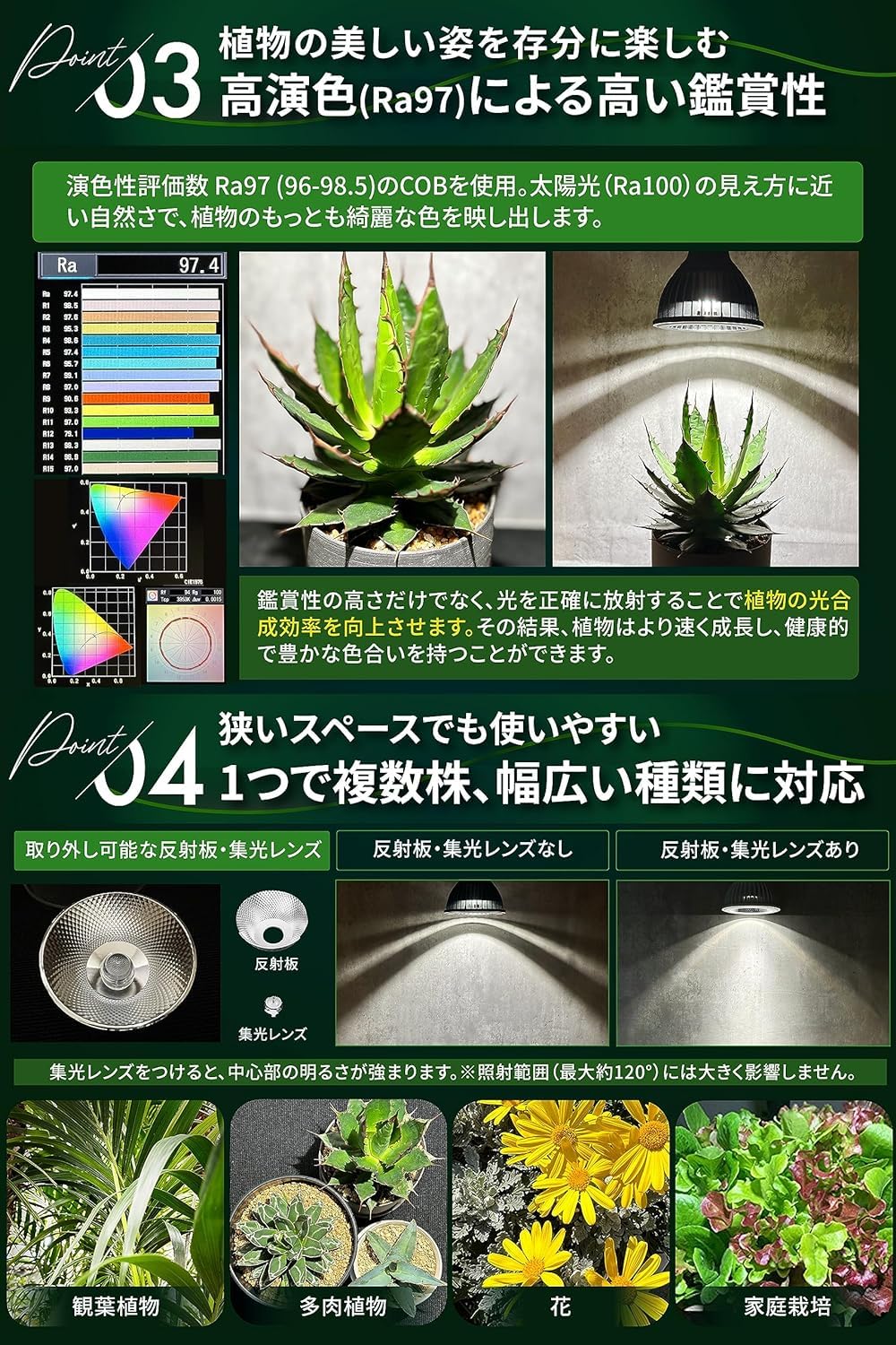 Amazon.co.jp: 【グリーンアドバイザー推薦】BRIM(ブリム) COSMO 植物