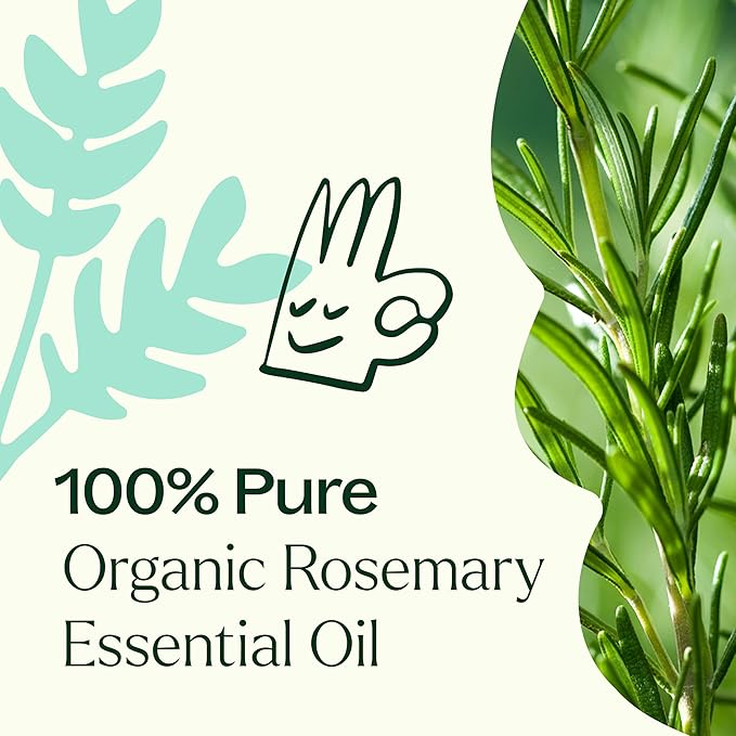 Aceite Esencial Orgánico de Romero, 30 ml, Puro y sin Diluir miniatura 5