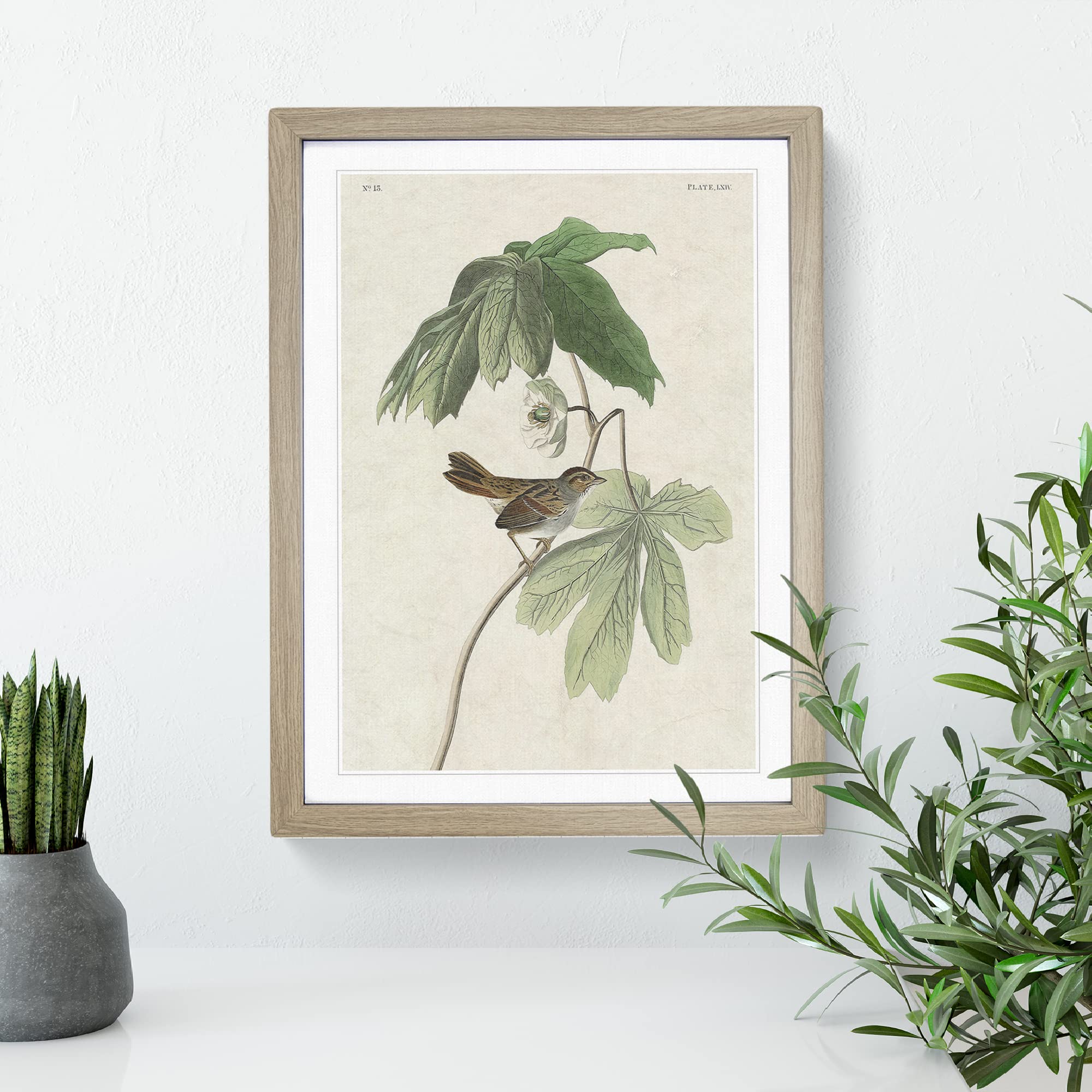 Swamp Sparrow By John James Audubon Vintage Framed Wall Art Print - Image 2