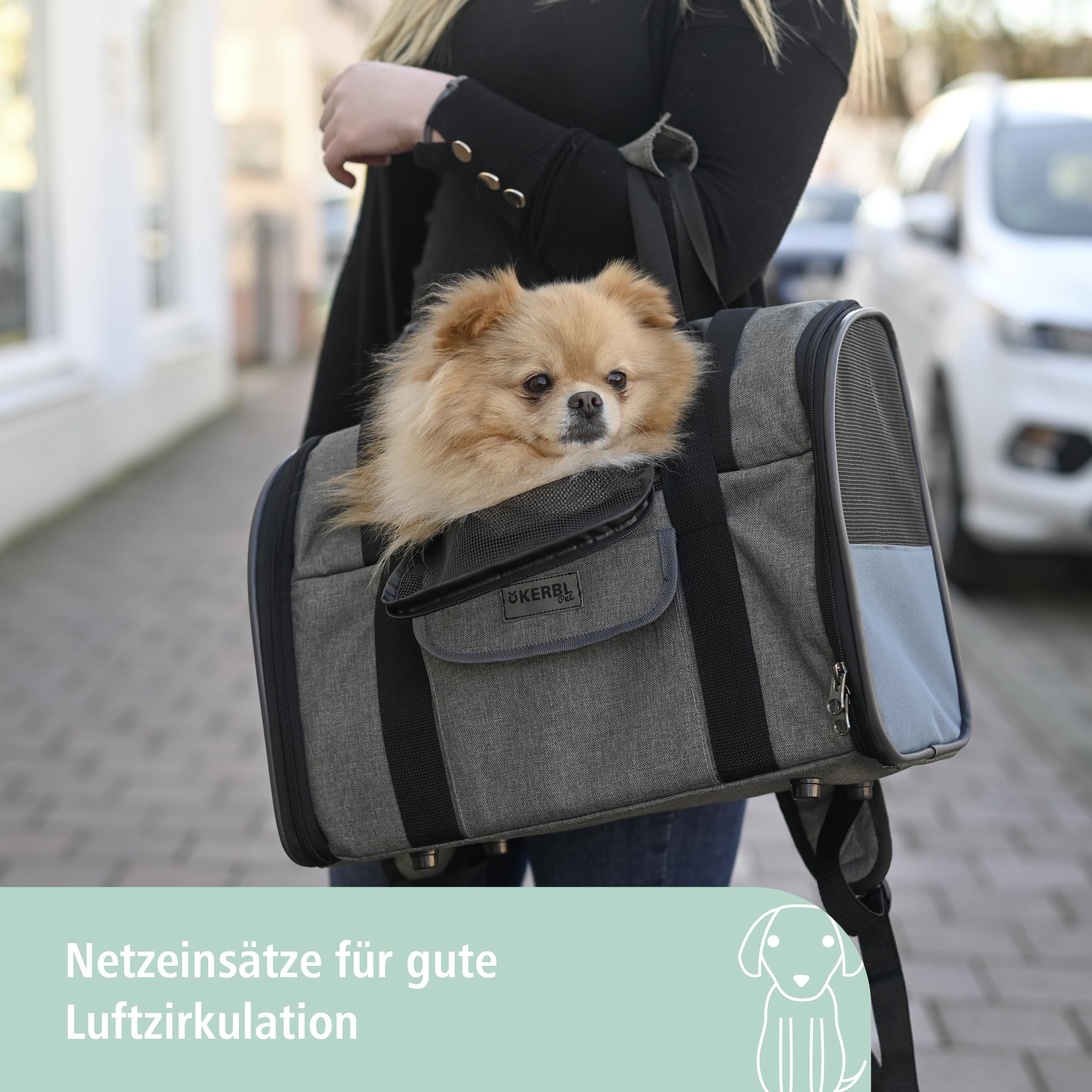 Kerbl Pet Hunderucksack Vacation, Hundetasche, Hundetransport, grau, blau, 43x24x30cm, Oxfordgewebe, kleine Hunde, Katzen, robust, schmutzabweisend
