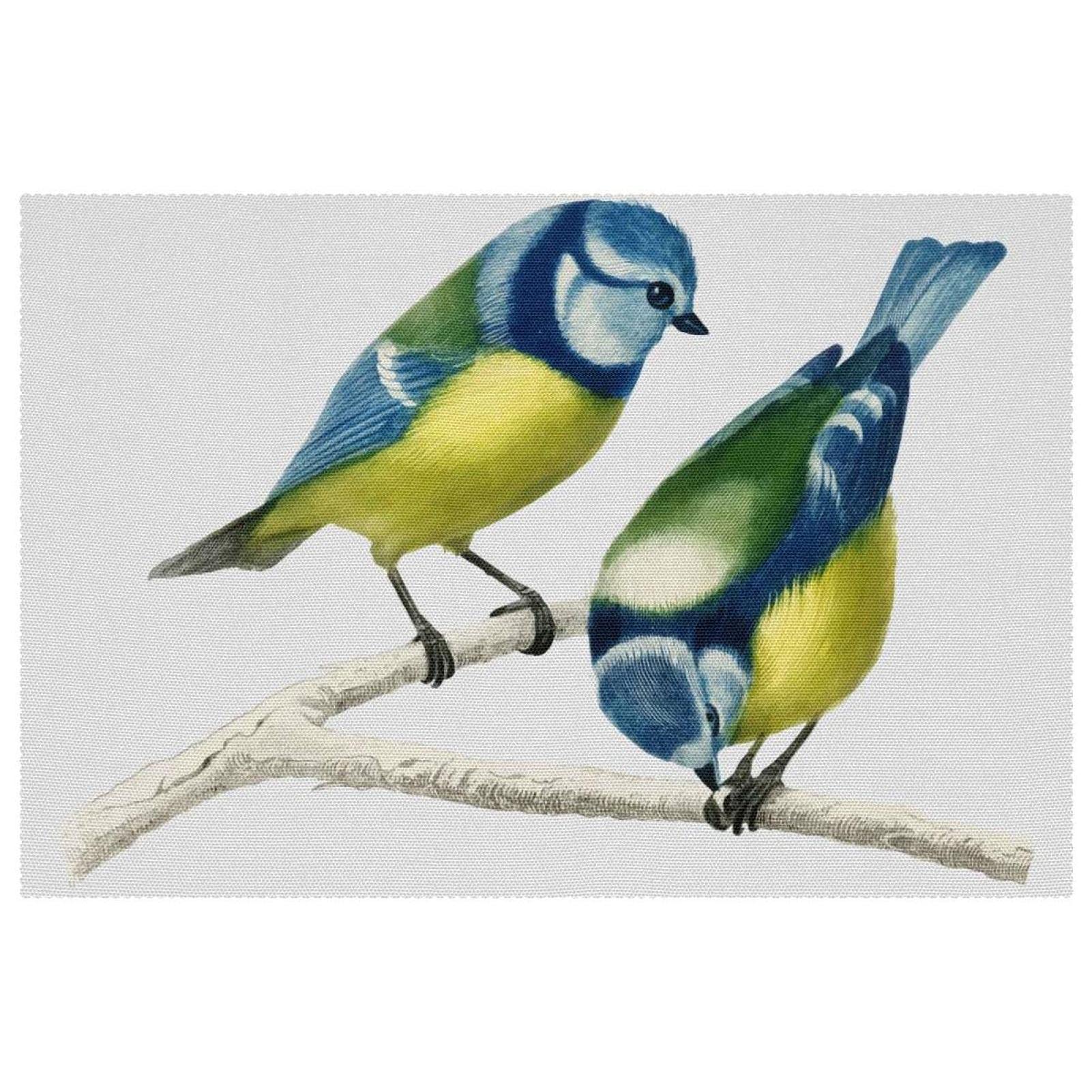 Lot de 6 sets de table oiseaux 30,5 x 45,7 cm résistants à la chaleur pour cuisine