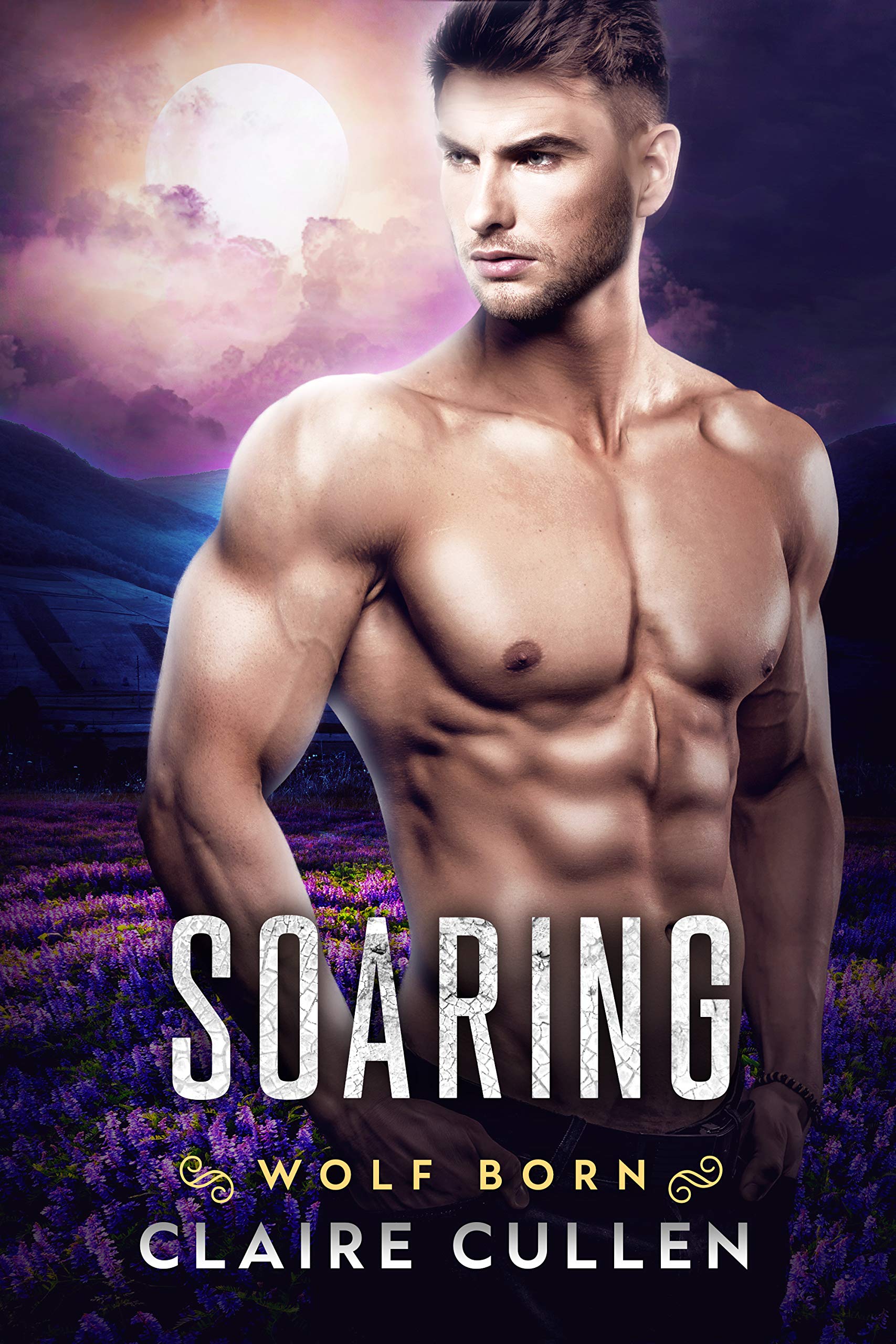 Soaring (Wolf Born Book 2)