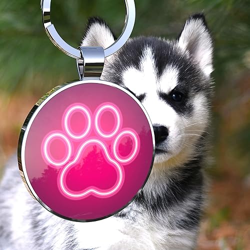 Miniatura 2 de Etiqueta de perro con código QR, etiquetas de perro personalizadas para mascotas, etiquetas de identificación personalizadas para perros y gatos -