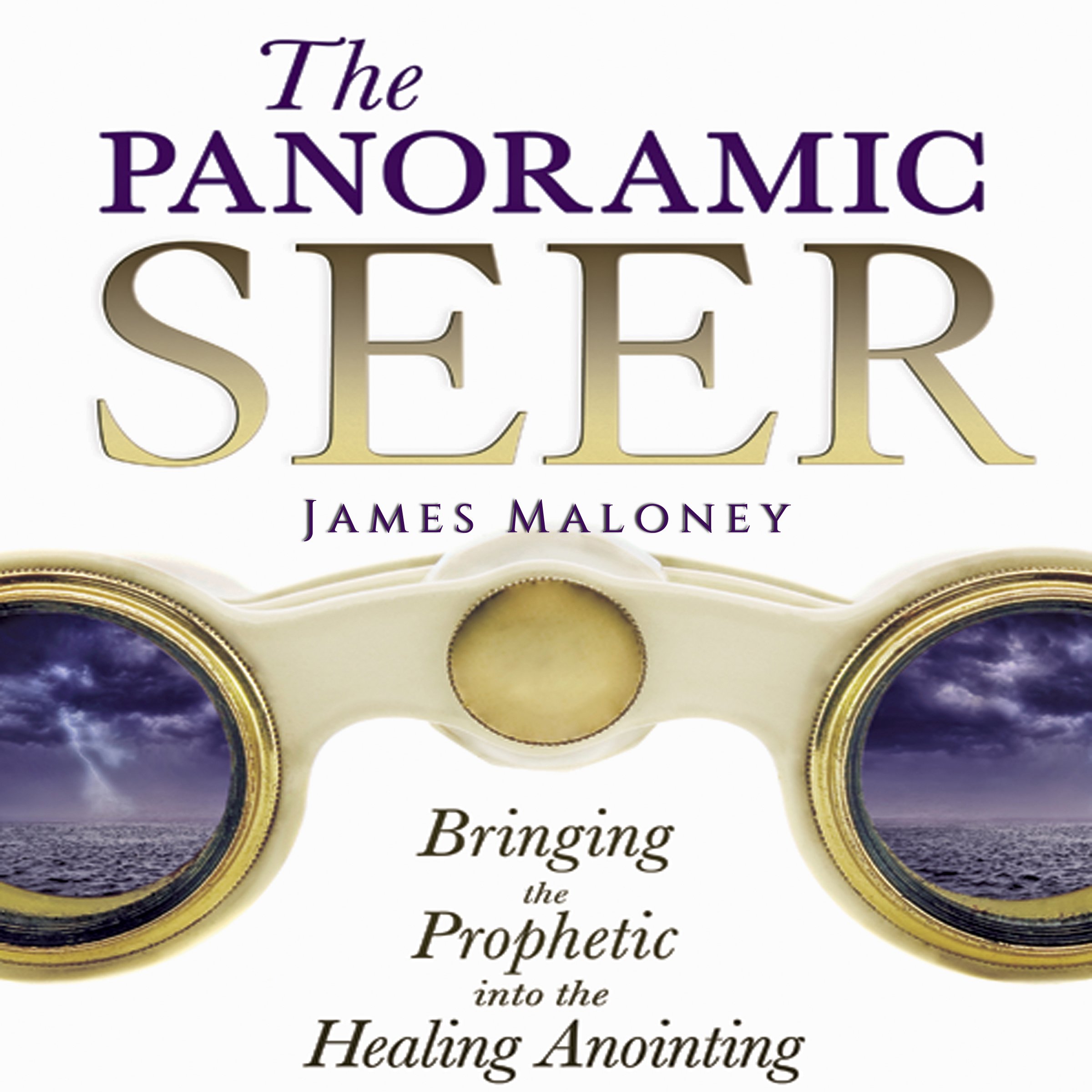 Cover art for The Panoramic Seer