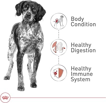 Royal Canin Size Health Nutrition Medium Adult Dry Dog Food, 4 lb Bag