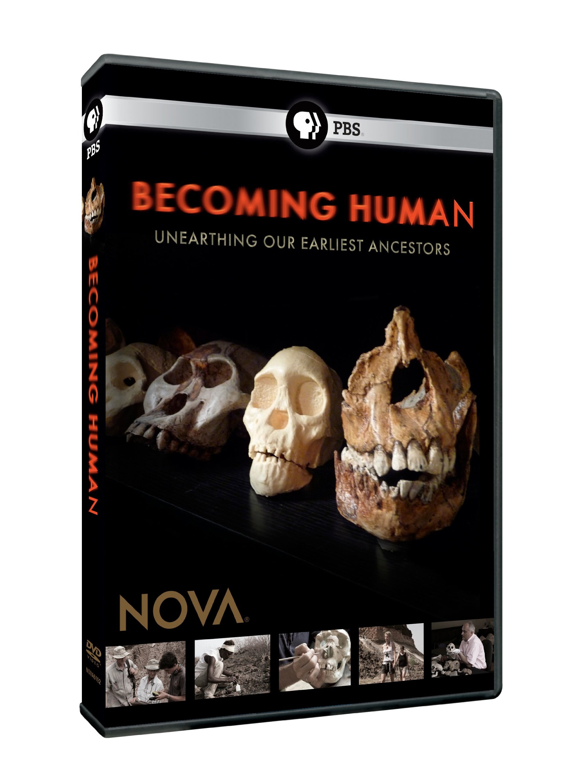 Nova: Becoming Human: Unearthing Our Earliest Ancestors [DVD]