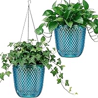 QCQHDU 2-Pack 7.2 Inch Self-Watering Hanging Planters - Indoor Outdoor Flower Pots with Drainage Holes & Hook Chains (Klein Blue)