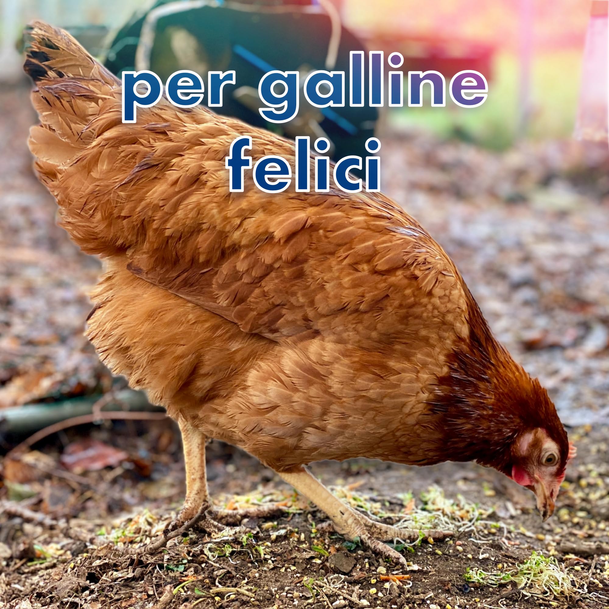 Set completo barriera antiacaro per posatoio da galline contro acaro rosso, protezione antiacari, trappola per acari, pollaio