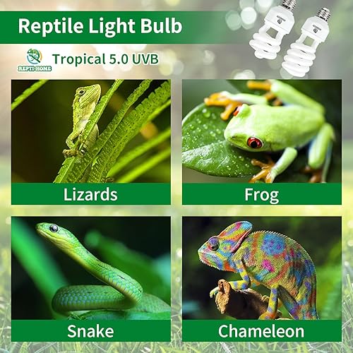 Miniatura 7 de Luz de reptil UVA UVB - 15W 5.0, terrario tropical y subtropical lámpara fluorescente compacta, bombilla de reptil UVB para serpientes, camaleones,
