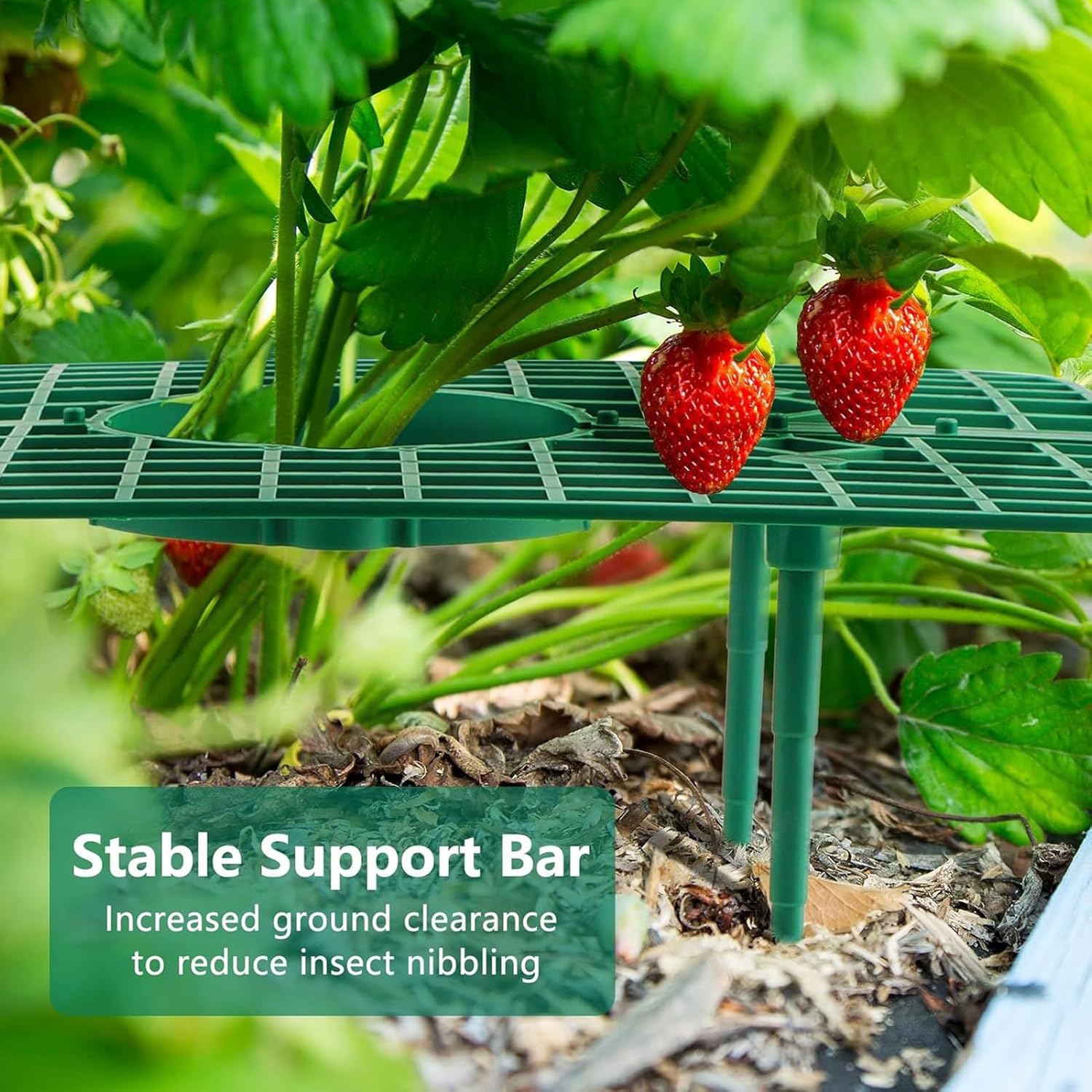 10PCS Strawberry Plant Support, Fruit Growing Frame Hollow Design Breathable Strawberry Growing Rack Plant Bracket for Orchard or Home Green
