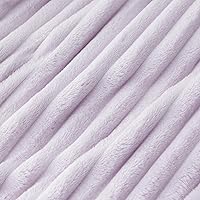 Vista 289 de Bedsure GentleSoft Twin Blanket for Couch - Cozy Soft Blankets for Women, Cute Small Fleece Throws for Girls, Light Grey, 60x80 Inches