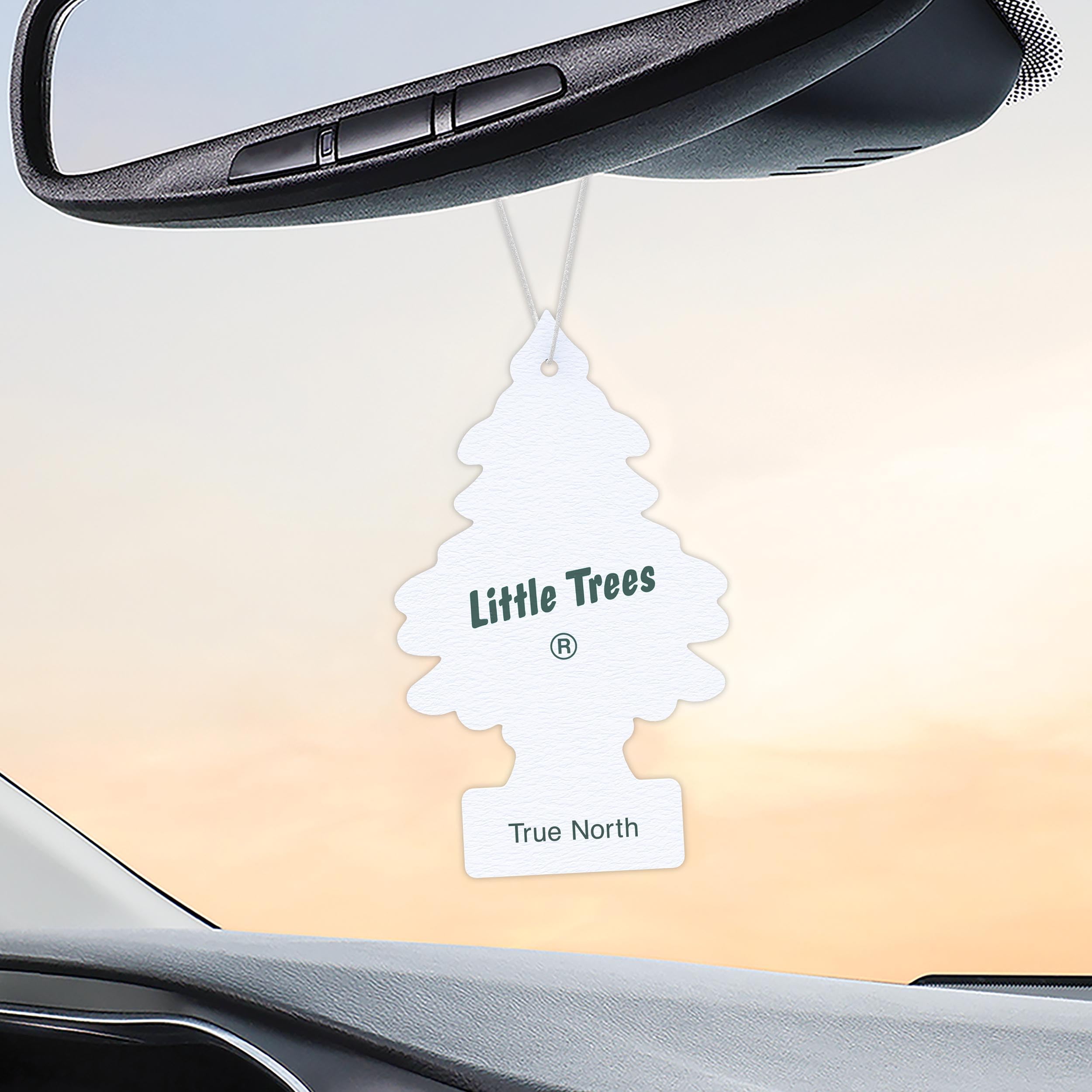LITTLE TREES Lufterfrischer Auto Lufterfrischer Hängender Baum bietet lang anhaltenden Duft für Auto oder Zuhause True North 24 Lufterfrischer