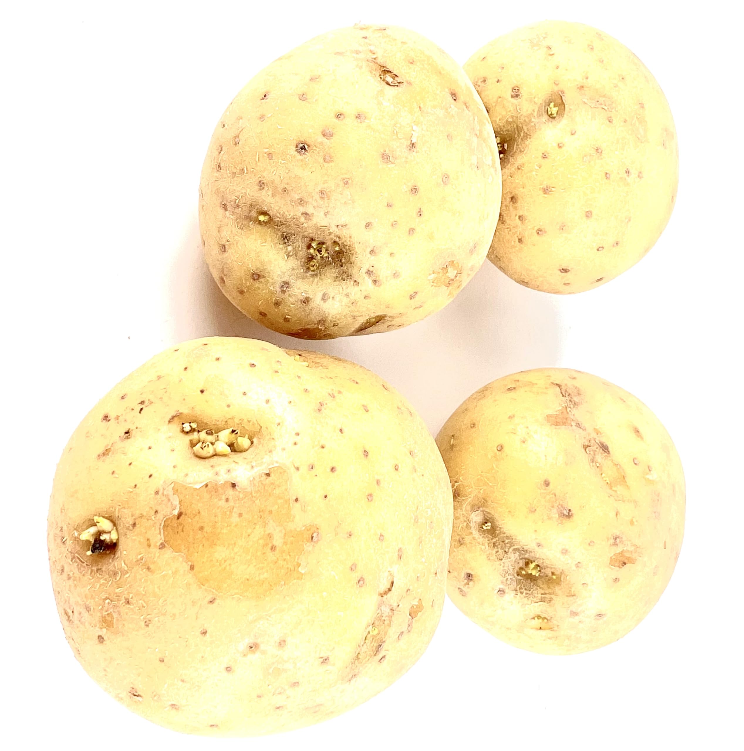 Amazon.com: Yukon Gold Seed Potatoes Non GMO for Planting