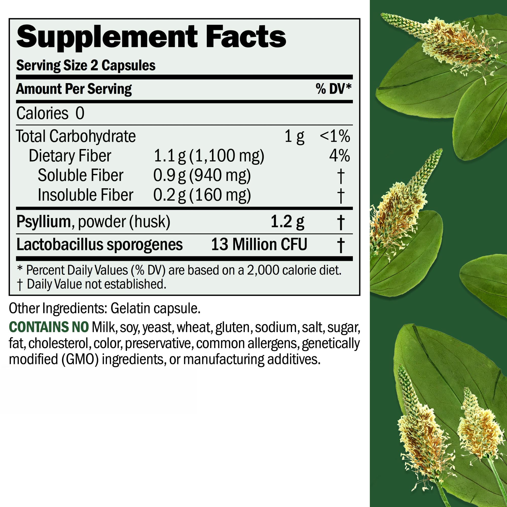 Andrew Lessman ProCaps Fibermucil Psyllium Husk Fiber 360 Capsules — Amazon image 2