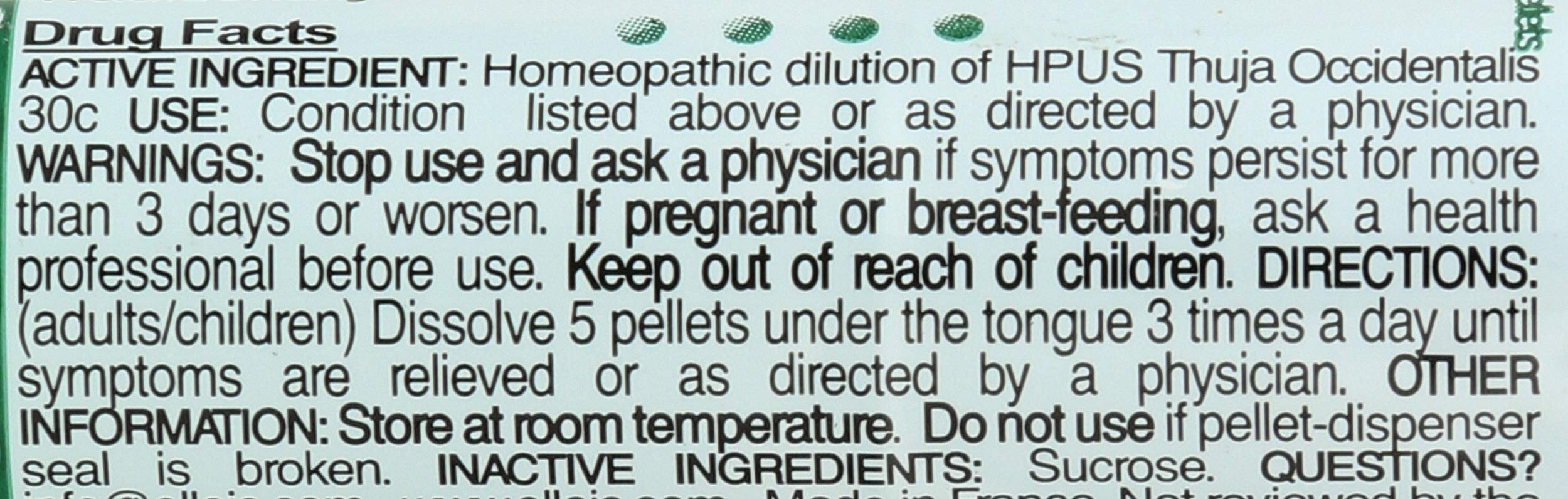 Amazon.com : OLLOIS Thuja Occidentalis 30c, Organic, Lactose-Free