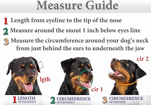Miniatura 2 de Bozales de metal para perro Rottweiler 1 Cesta de alambre correas de cuero ajustables de cuero circunferencia ajustable de cuero es de 9.8-14.1