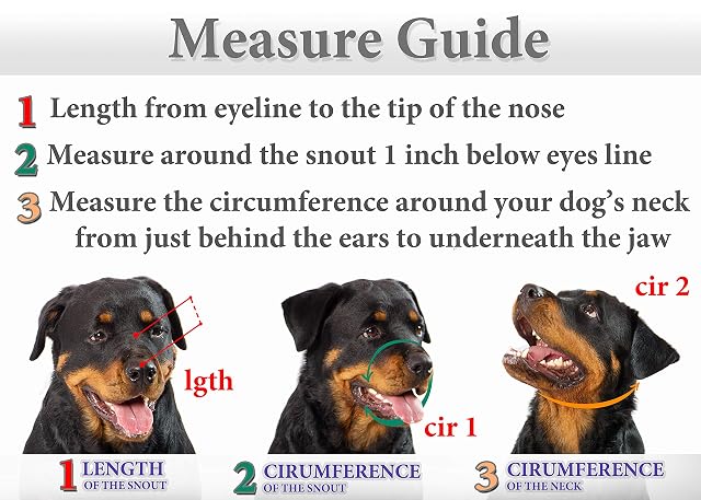 Foto 4 de 8 de Bozales de Metal para Perro Rottweiler (№2) - Cesta de Alambre Correas de Cuero Ajustables de Cuero