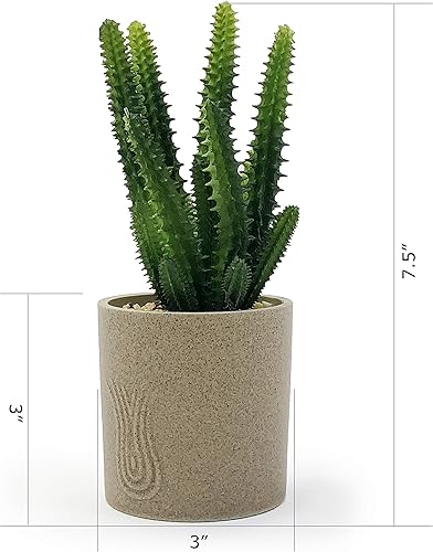 Miniatura 9 de Allgala - Planta suculenta artificial de escritorio con maceta de arcilla natural