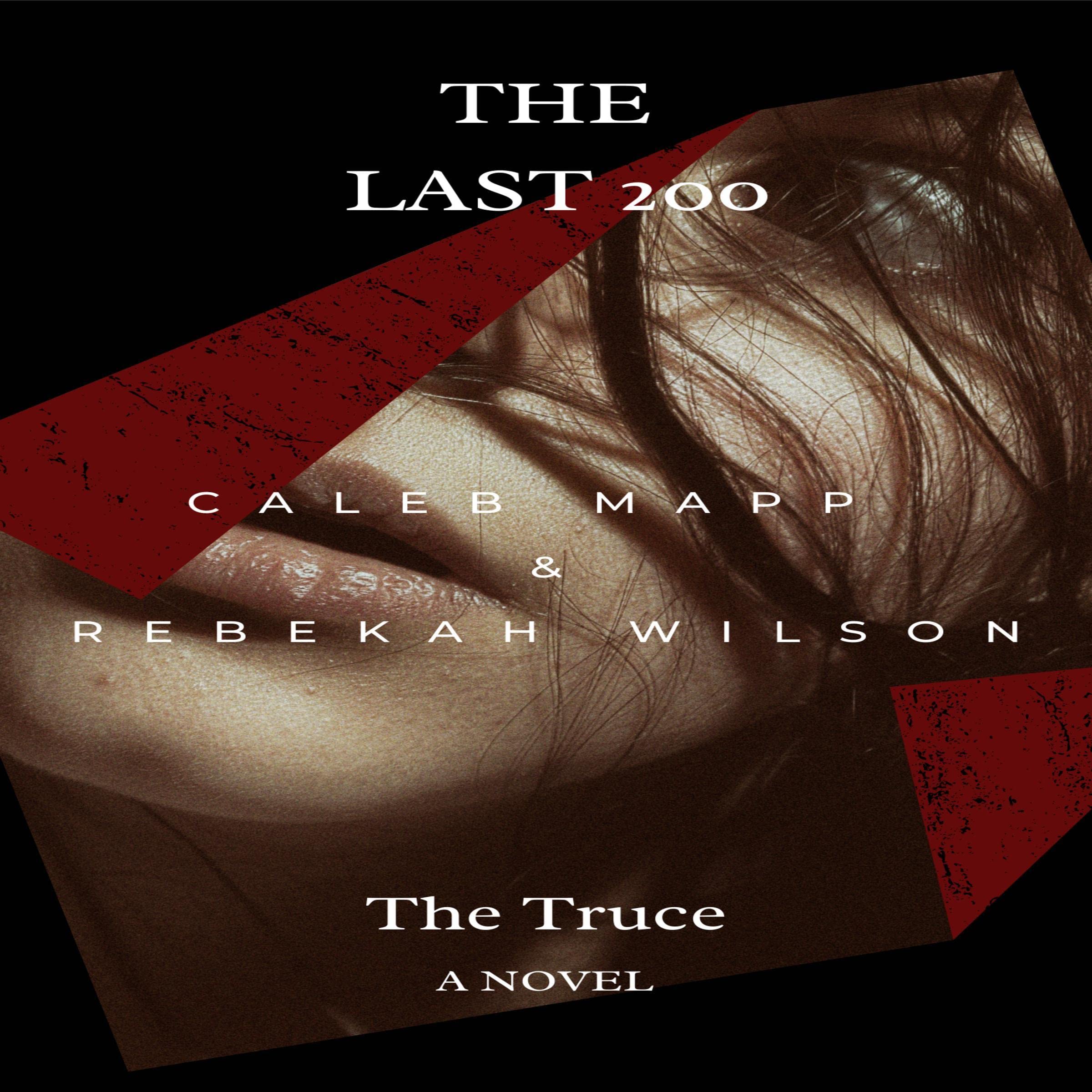 Cover art for The Truce
