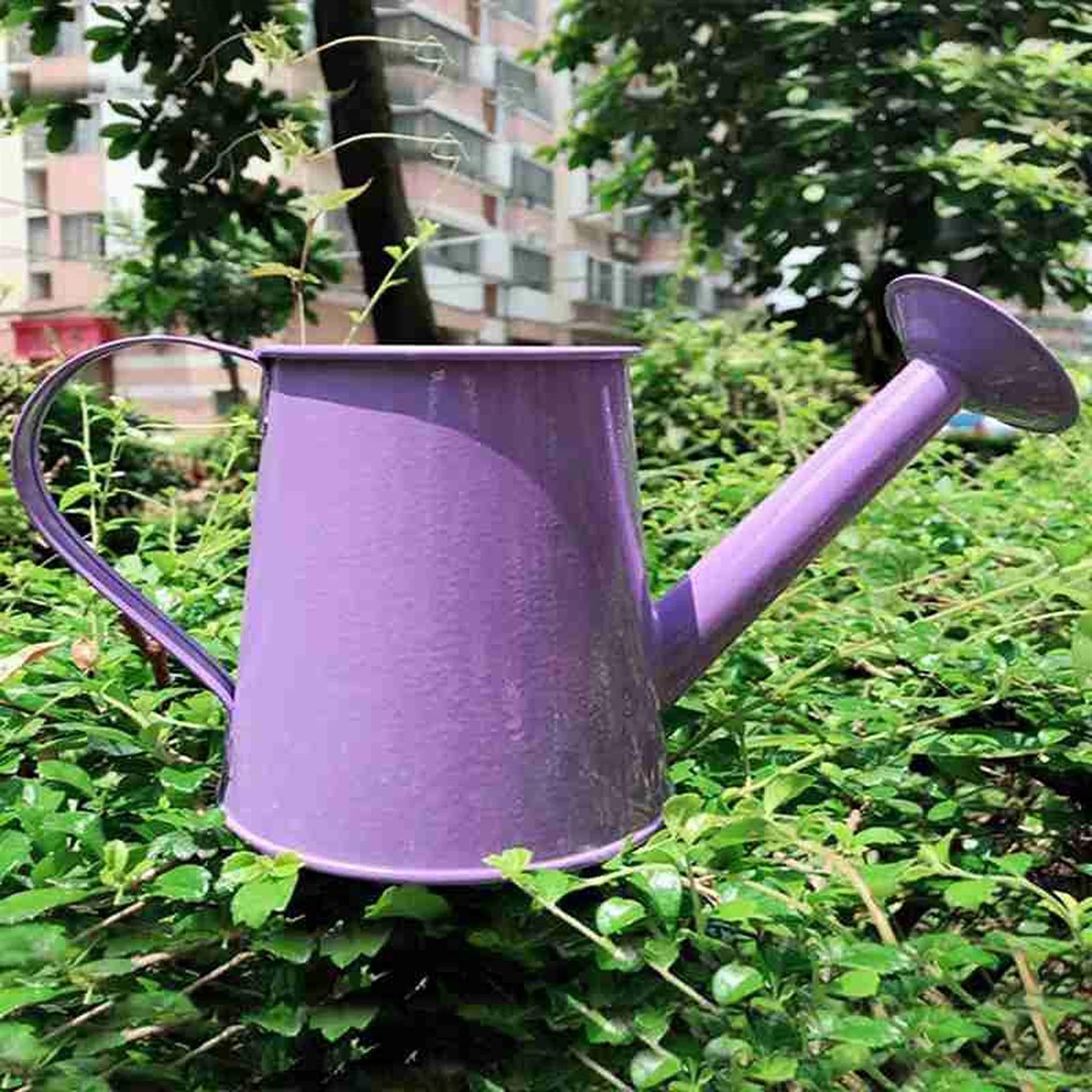 Konewka, konewka ogrodowa Mini żelazna konewka Domowe Bonsai Roślina Narzędzie prysznicowe Ogrodnictwo Czajnik na wodę Spray do nawadniania Ogród Butelka do pielęgnacji kwiatów Konewka do roślin zewnę