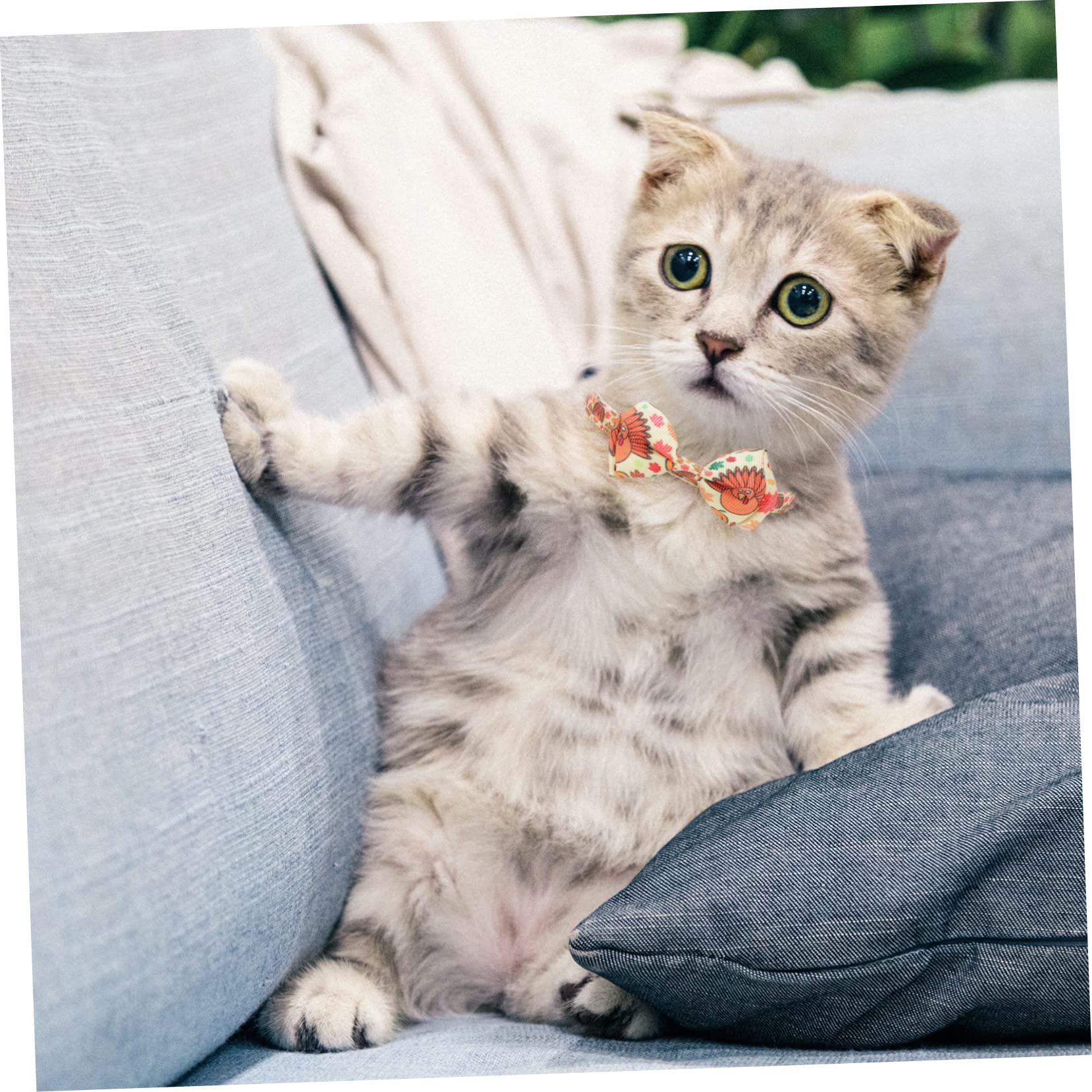 BESPORTBLE 4 Set Di Collari Per Cani E Gatti Per Il Ringraziamento Costumi Per Animali Domestici Collane Accessori Per Animali Domestici Per Feste 32 Cm Vivaci 2 Pezzi * 4