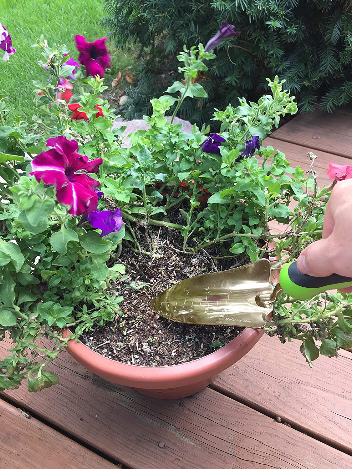 Garden Guru - Pala para trasplantar, acero inoxidable recubierto de titanio, resistente a la corrosión, agarre ergonómico, herramienta de pala de mano perfecta para jardinería, trasplante y excavación