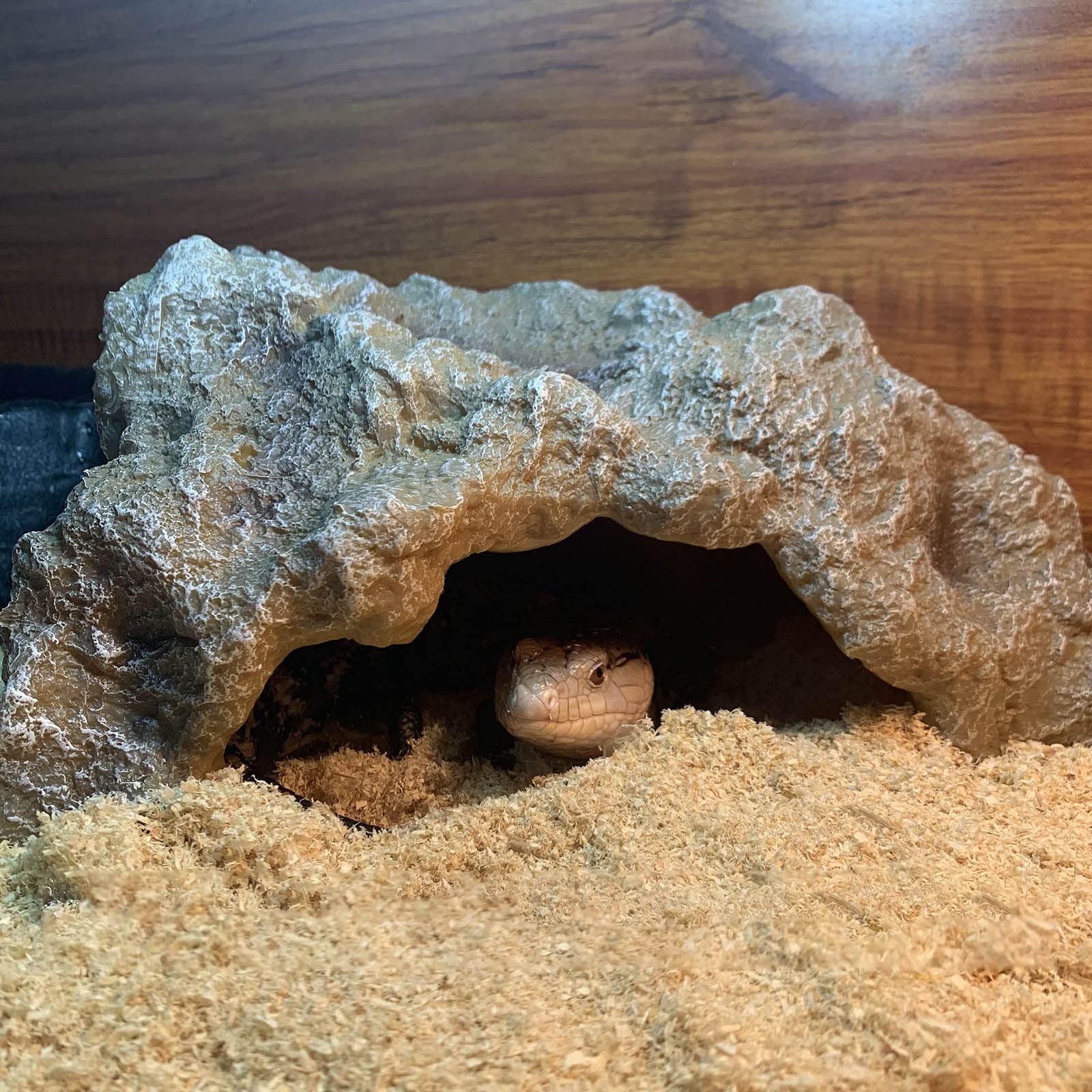 Einsiedlerkrebs-Versteck Aus Kunstharz – 24x20,5x9,5 Cm, Naturgetreue Steinoptik Für Terrarium & Aquarium
