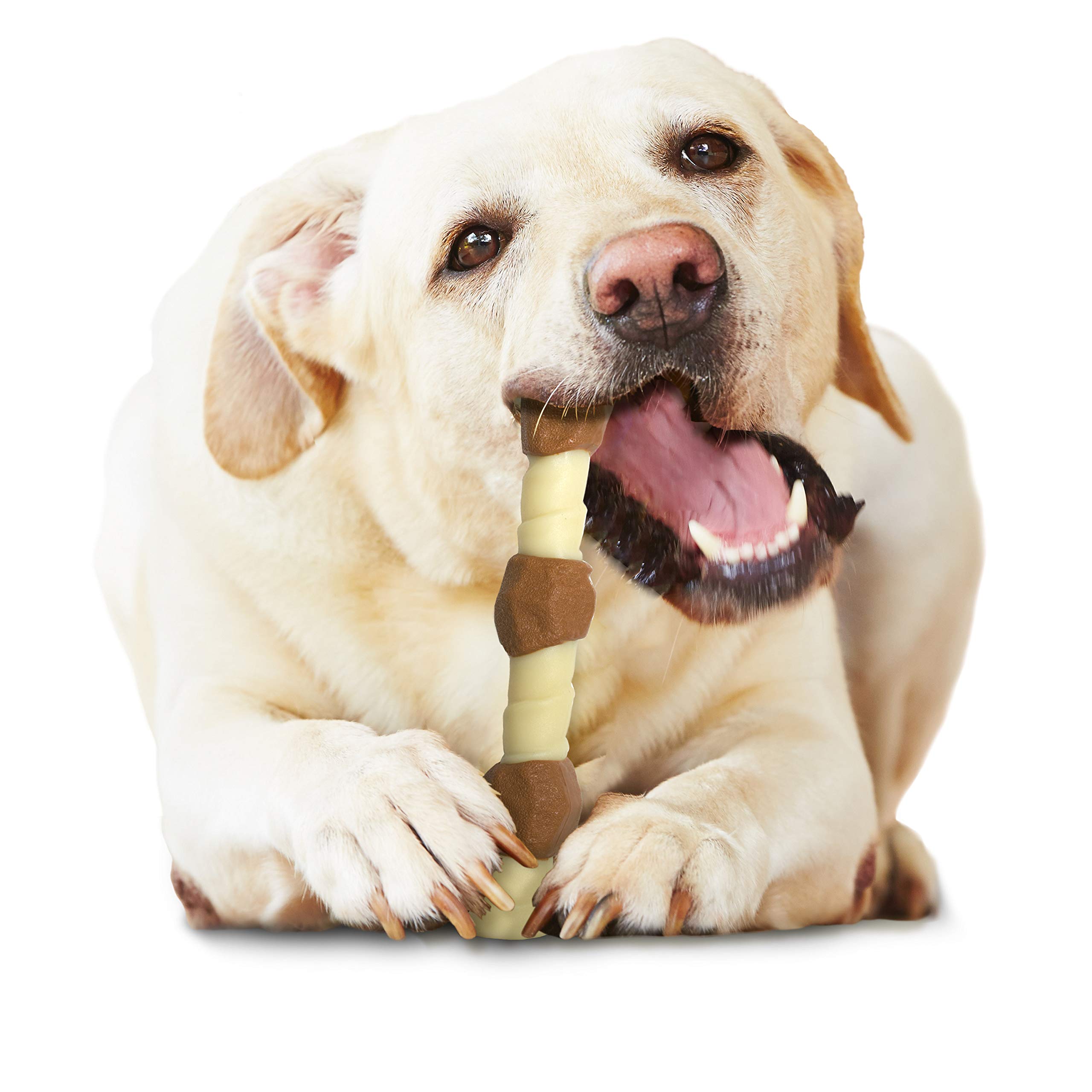 Nylabone Power Chew Shish Kabob Chicken Jerky Flavor Large Dog Chew Toy