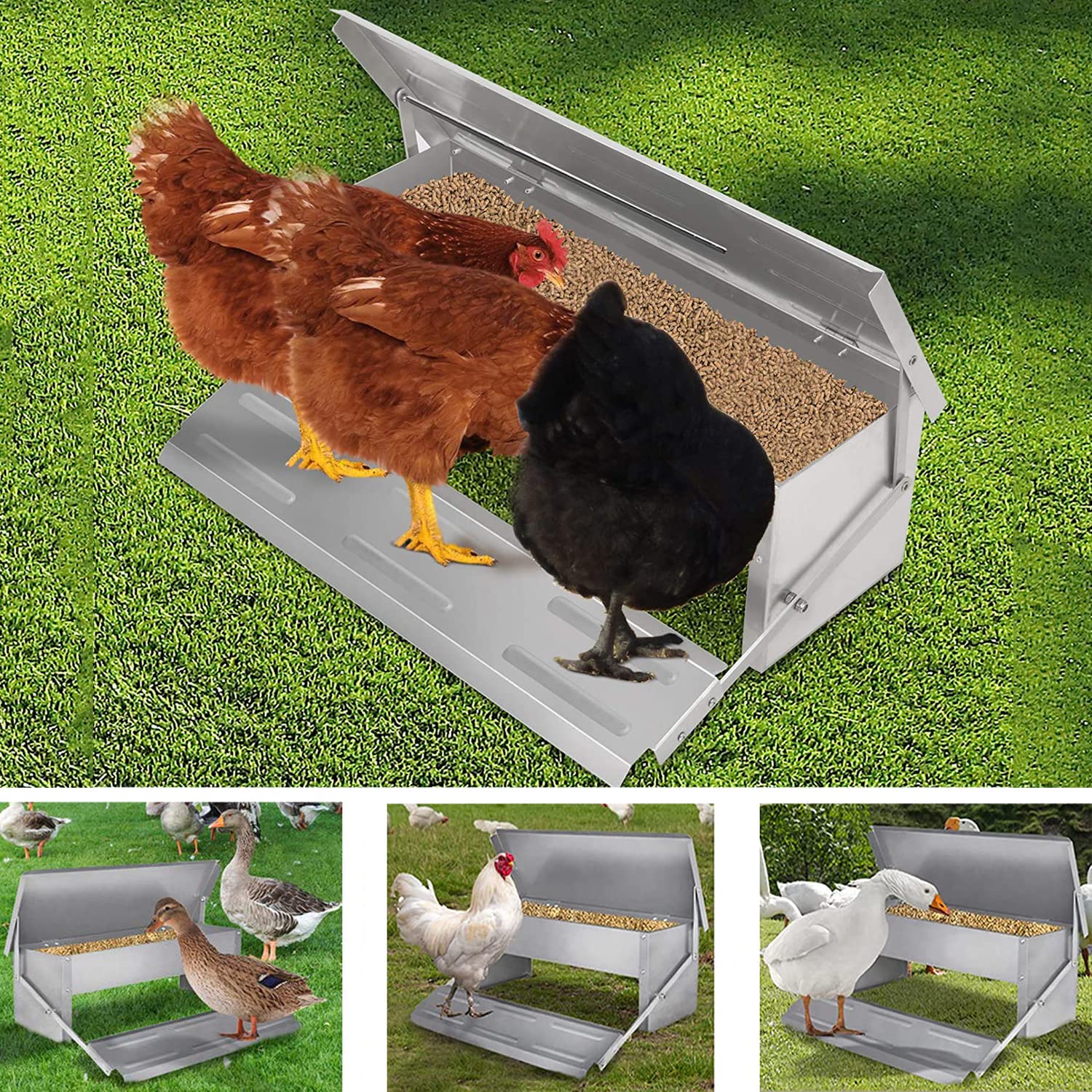Buy ybaymy Auto Chicken Feeder 5 Kg Capacity Poultry Feeder Aluminium Chicken Treadle Feeder