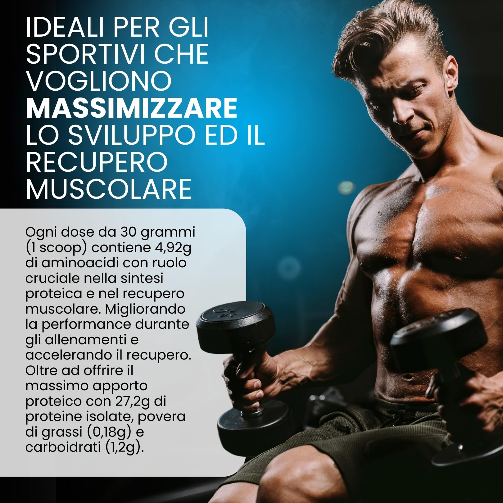 Proteine 100% Isolate WHEY V.B. 104 KG 1 gusto Vaniglia Immediata Assimilazione | Solo 0,18gr di Grassi e 1,2gr di Carboidrati Recupero Muscolare Prodotte in Italia