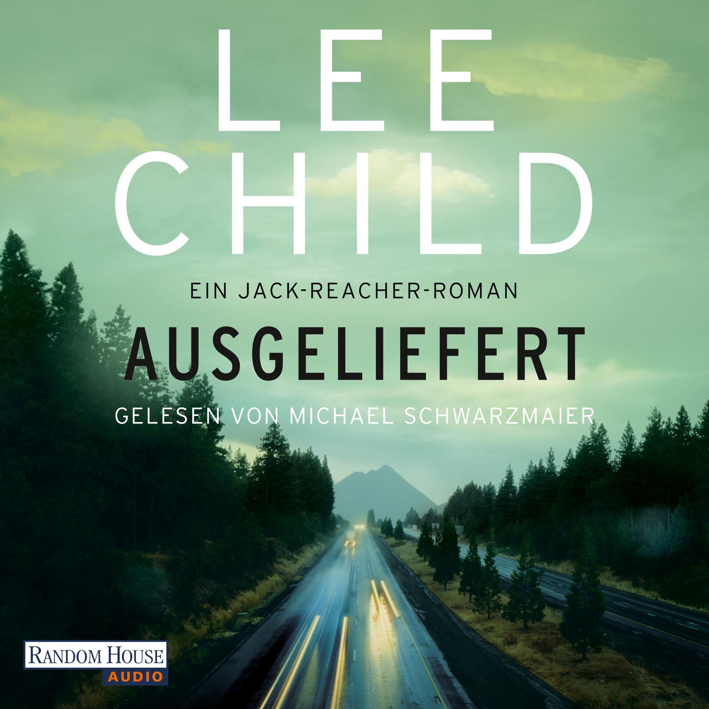 Cover art for Ausgeliefert