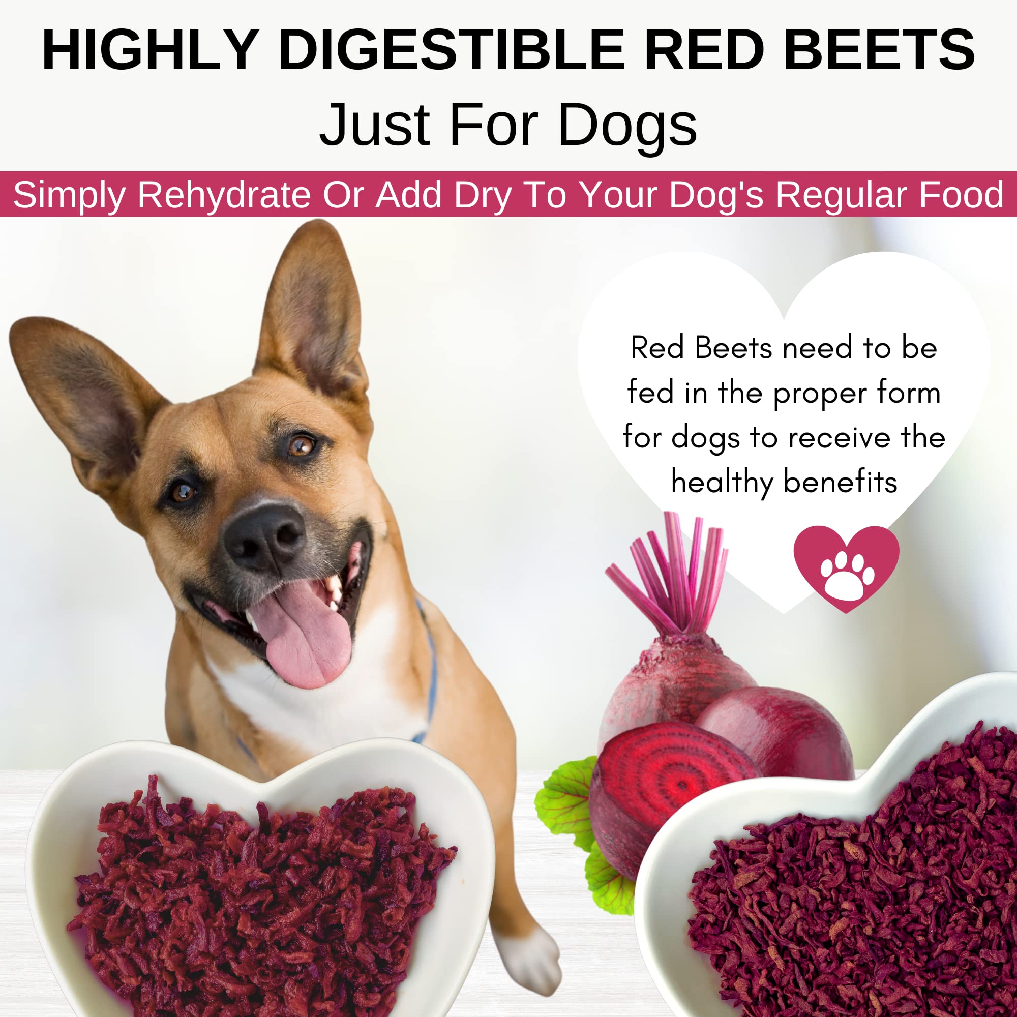 Are Beets Safe For Dogs