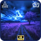 癒しのバイオレットライトパープルアブストラクトTVセラピーアプリ