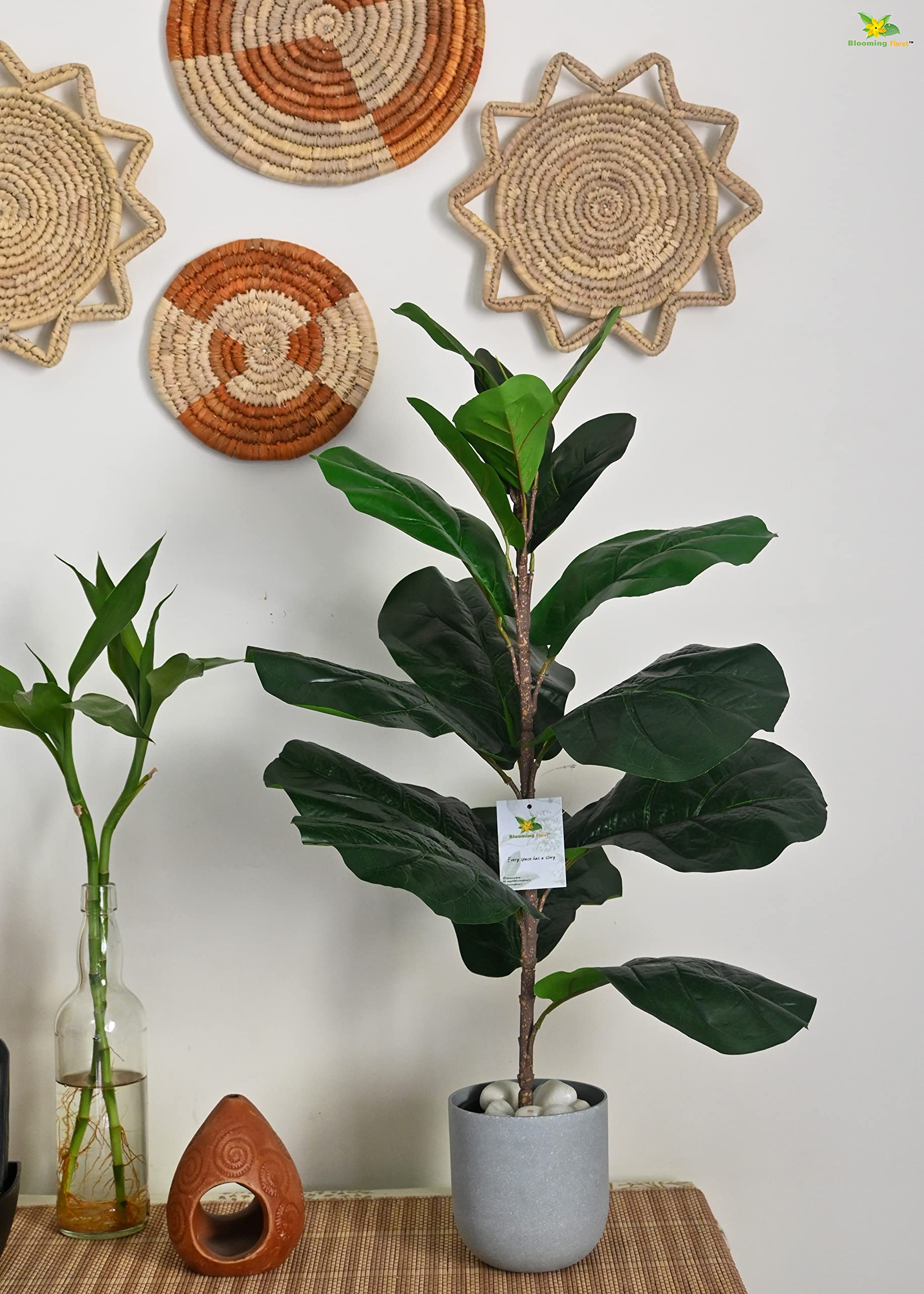 Blooming Floret Artificial Fiddle-Leaf Fig Plant | 16 Leaves | with Basic Black Pot | Big Ornamental Plant for Interior Decor/Home Decor/Office Decor | 66 cm Tall Tropical Plant | Dustproof