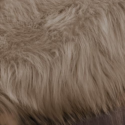 Miniatura 117 de Latepis - Tapete de cuero sintético, esponjoso, pelo largo, de 5 x 8 pies, color blanco, para la sala, dormitorio, sala de juegos o habitación del