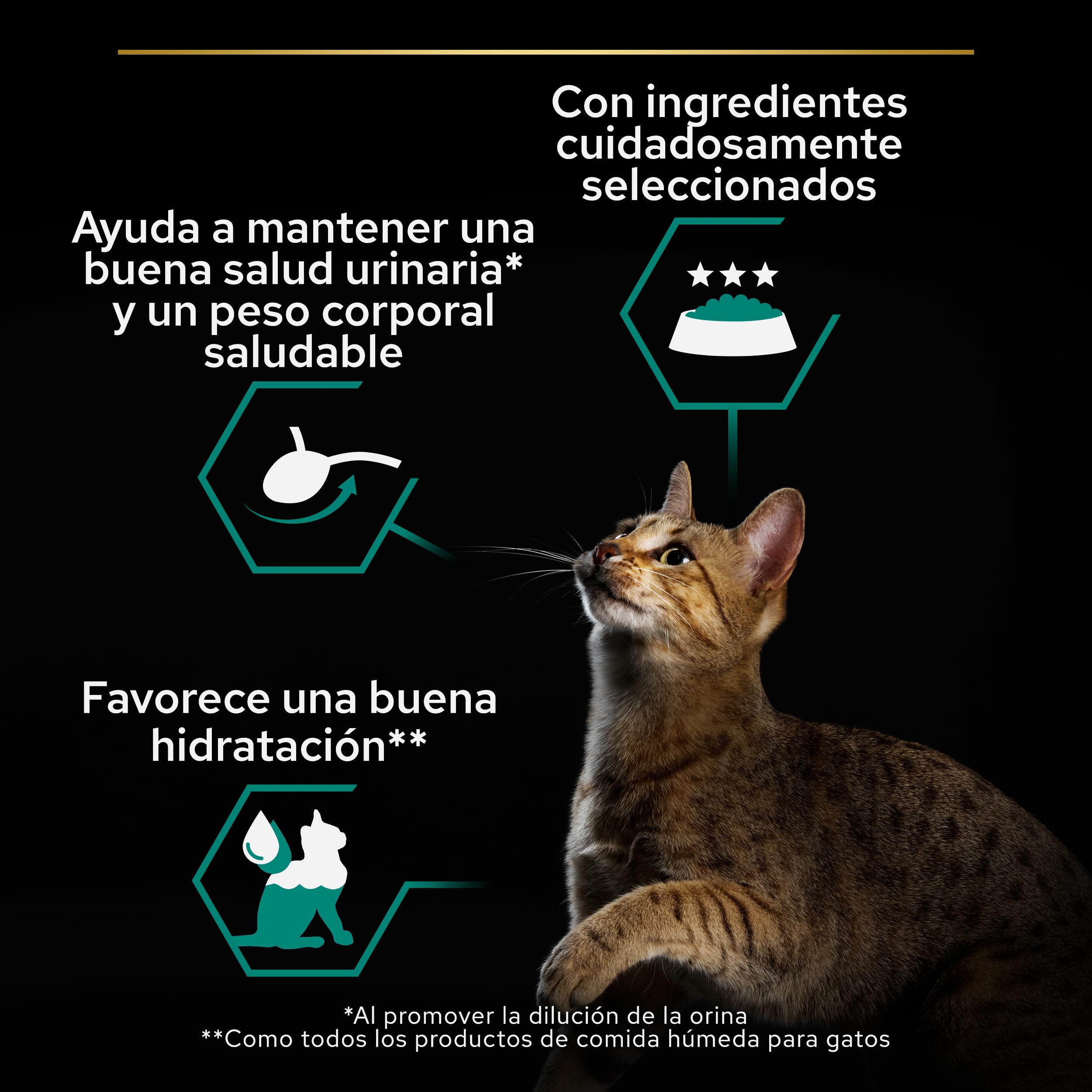 Pro Plan Comida Húmeda gato Esterilizado samón/atun Multipack 12x85 g