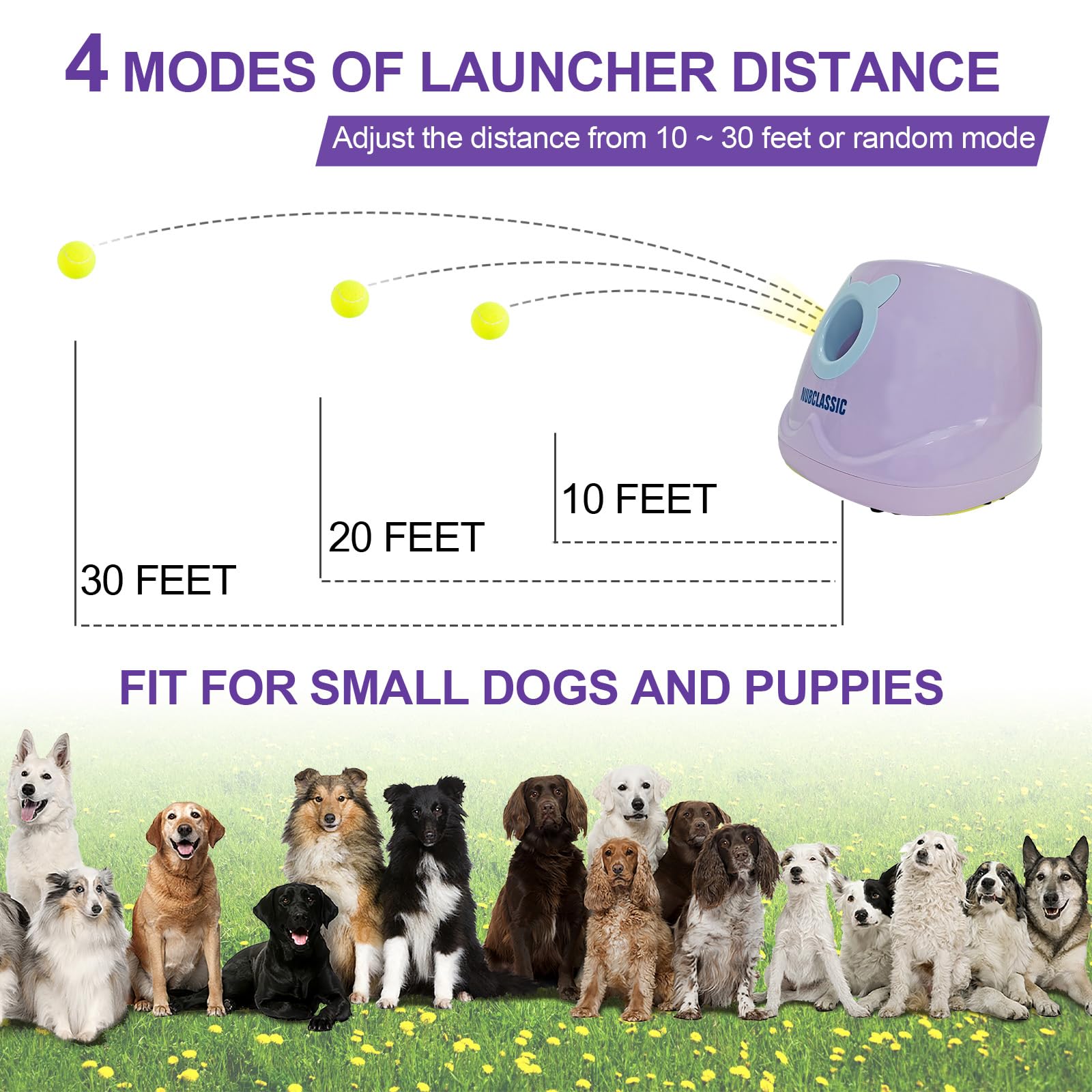 BESTHLS Lanceur automatique de balles de tennis interactif pour chiens de petite et moyenne taille, distance de recherche de 10 à 30 pieds (violet, télécommande incluse)