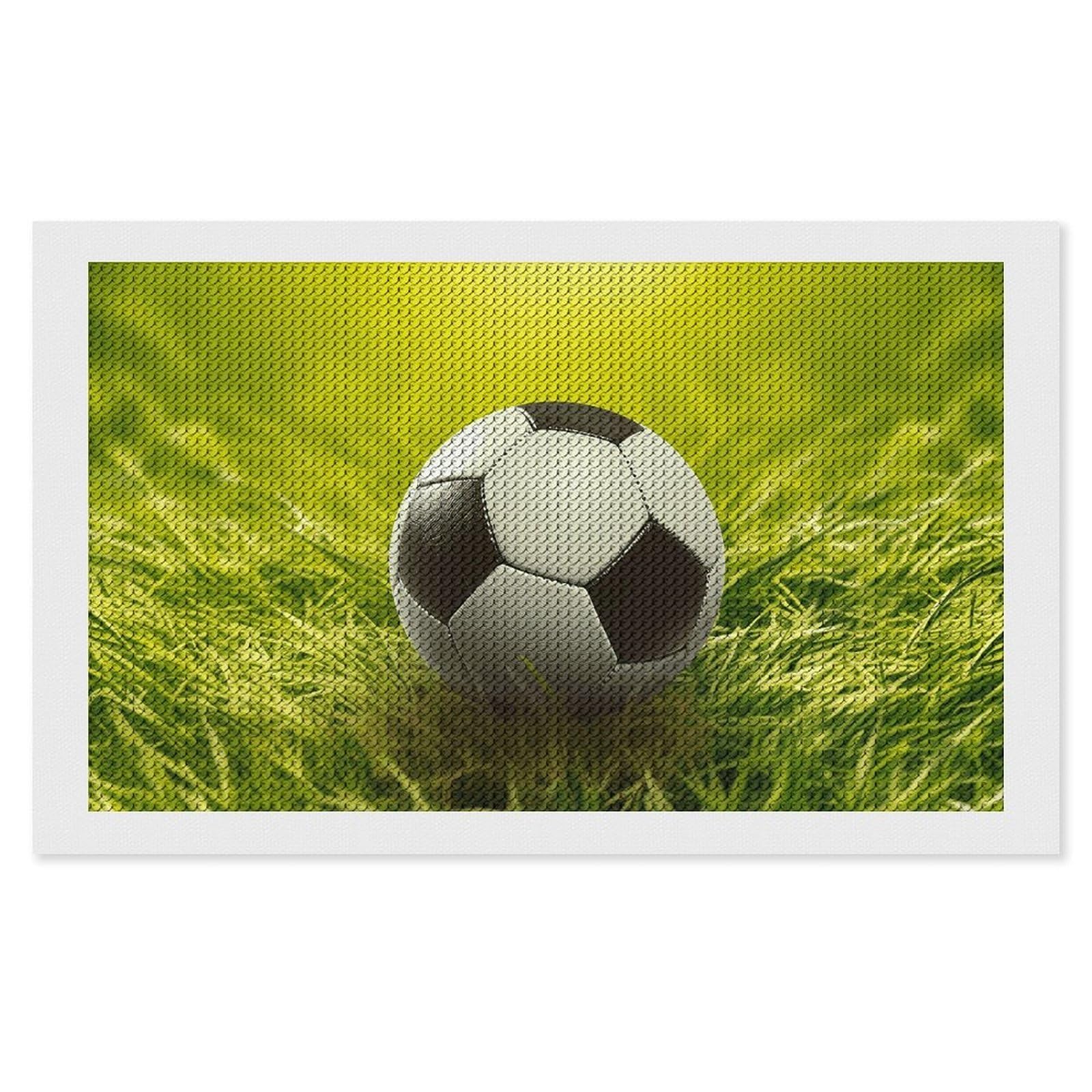 NONHAI Diamond Painting Kits for Adults - DIY Diamond Art Kits for Beginners - Full 5D Paint Drill Diamond Dots Paintings- Football on Grass Diamonds Pictures Gem Art and Craft Wall Decor 12"x20"