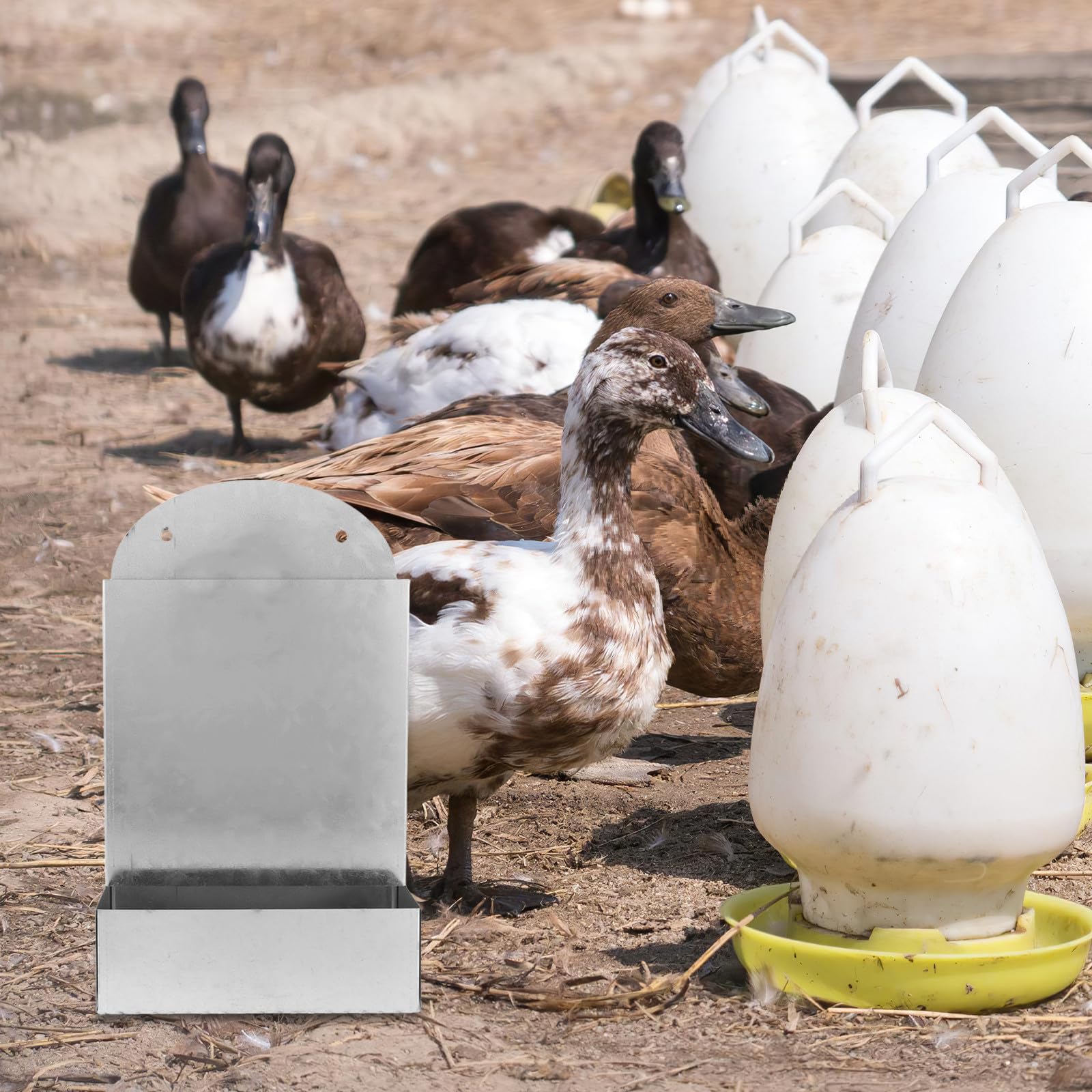 Generico Mangiatoia e Grande Capacità in Ferro Argento per Polli Alimentazione Accessorio Versatile per Pollai e Piccole