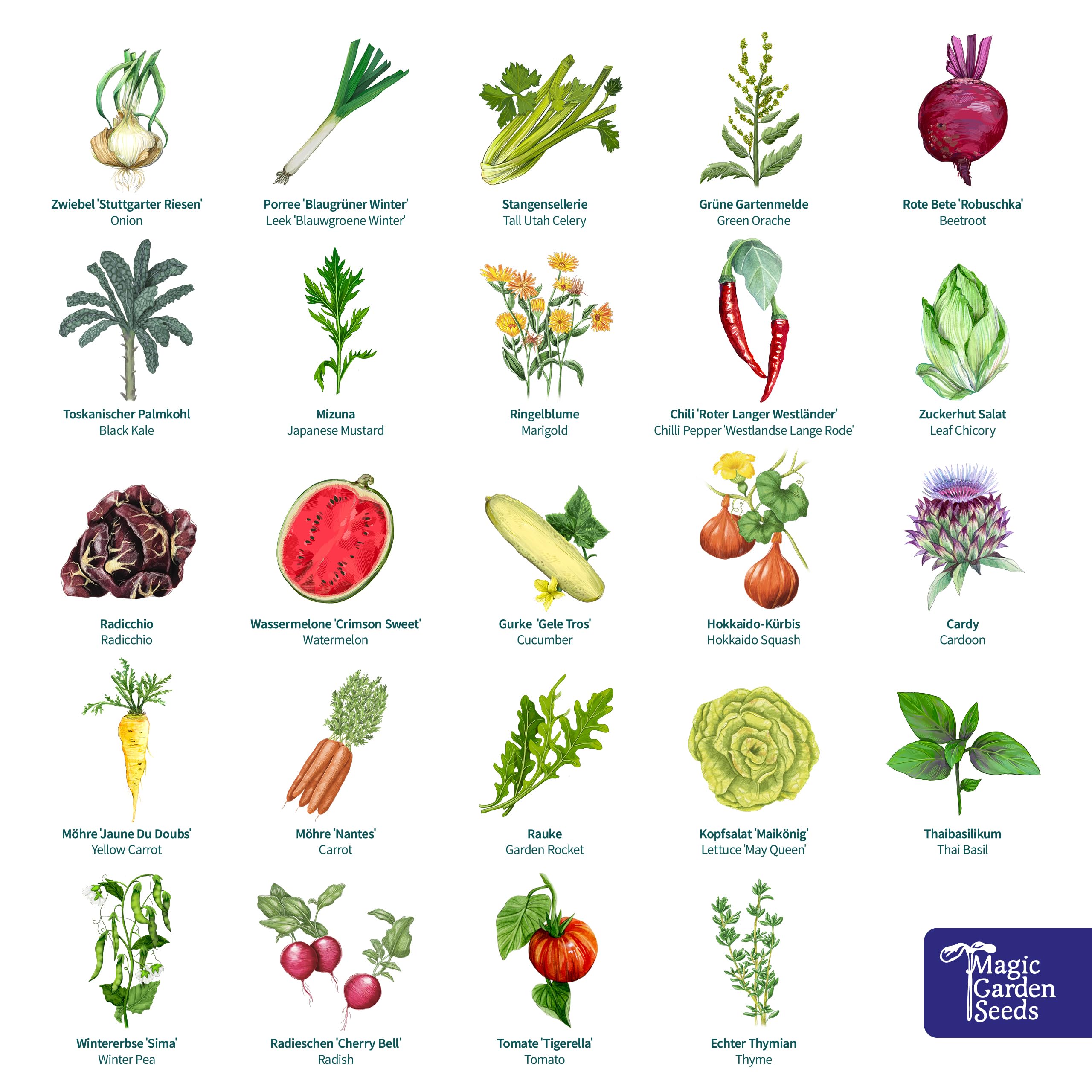 Magic Garden Seeds Calendario Avvento bio Giardino dell’autosufficienza | 24 bustine di semi biologici a impollinazione libera • Ortaggi, erbe e frutti rari • Per orto, aiuole rialzate e serra