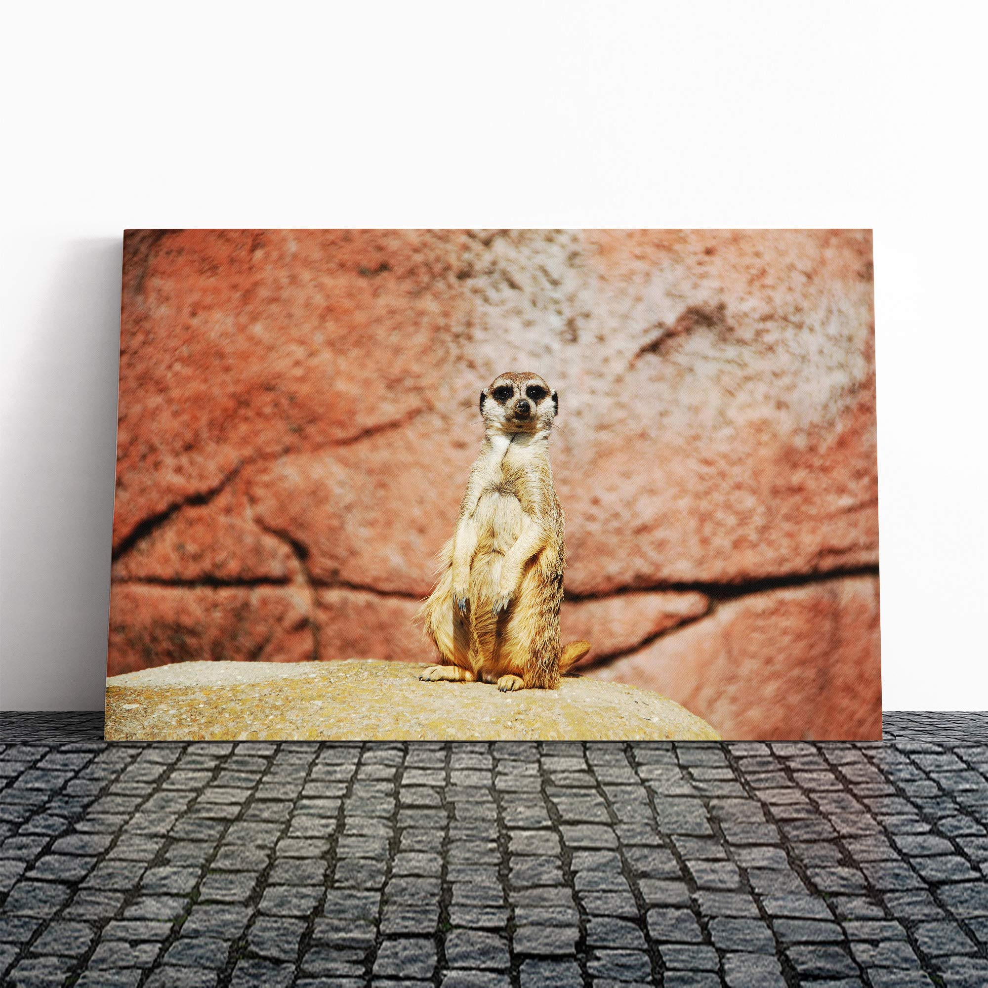 Meerkat Vol.2 Canvas Print | Gallery Wrapped 30mm Frame Wall Art | 20x14 inches | Ready to Hang | Modern Picture | Living Room Bedroom Lounge Office